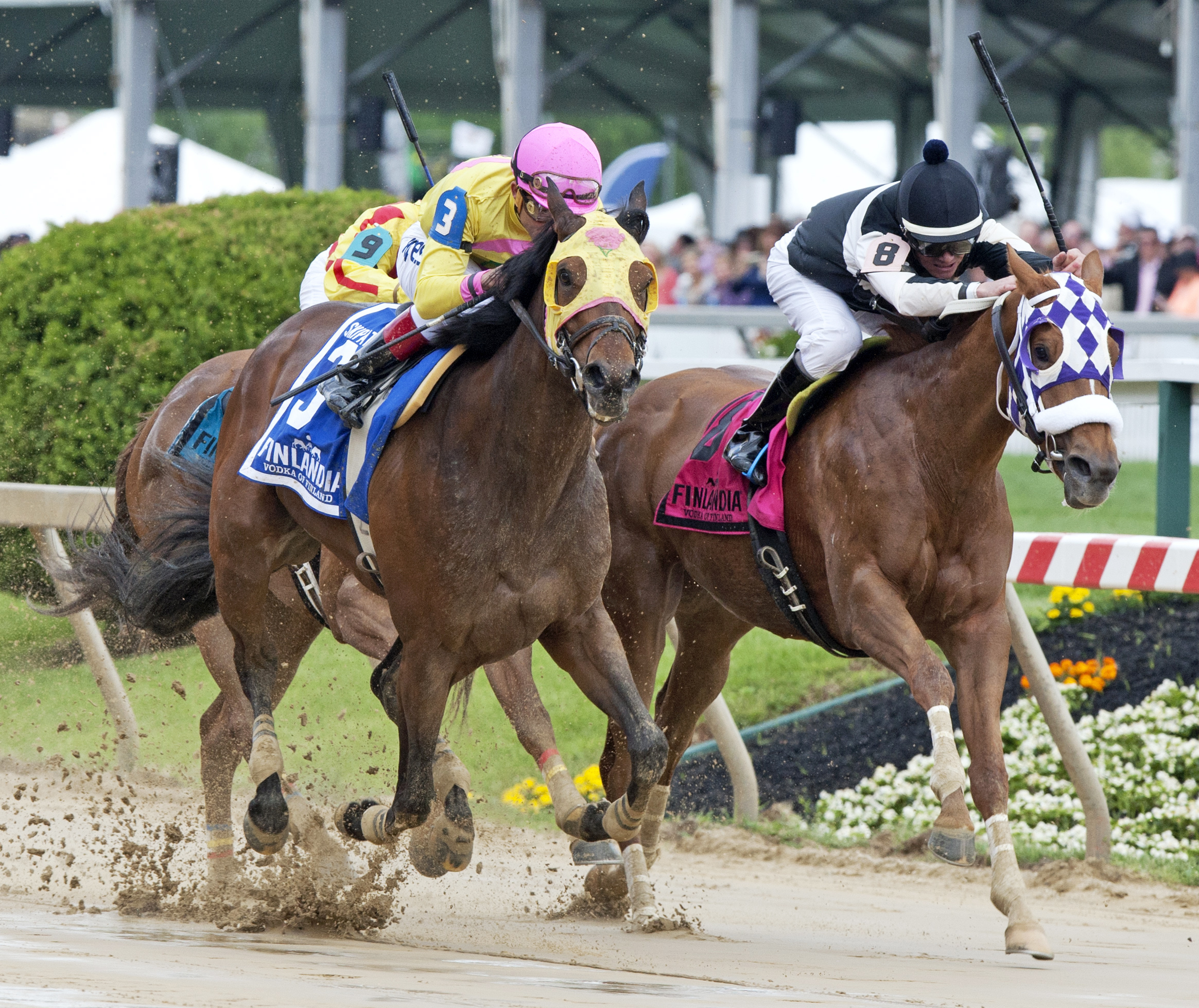 Flattering Bea finishes second in the 2014 Skipat Stakes