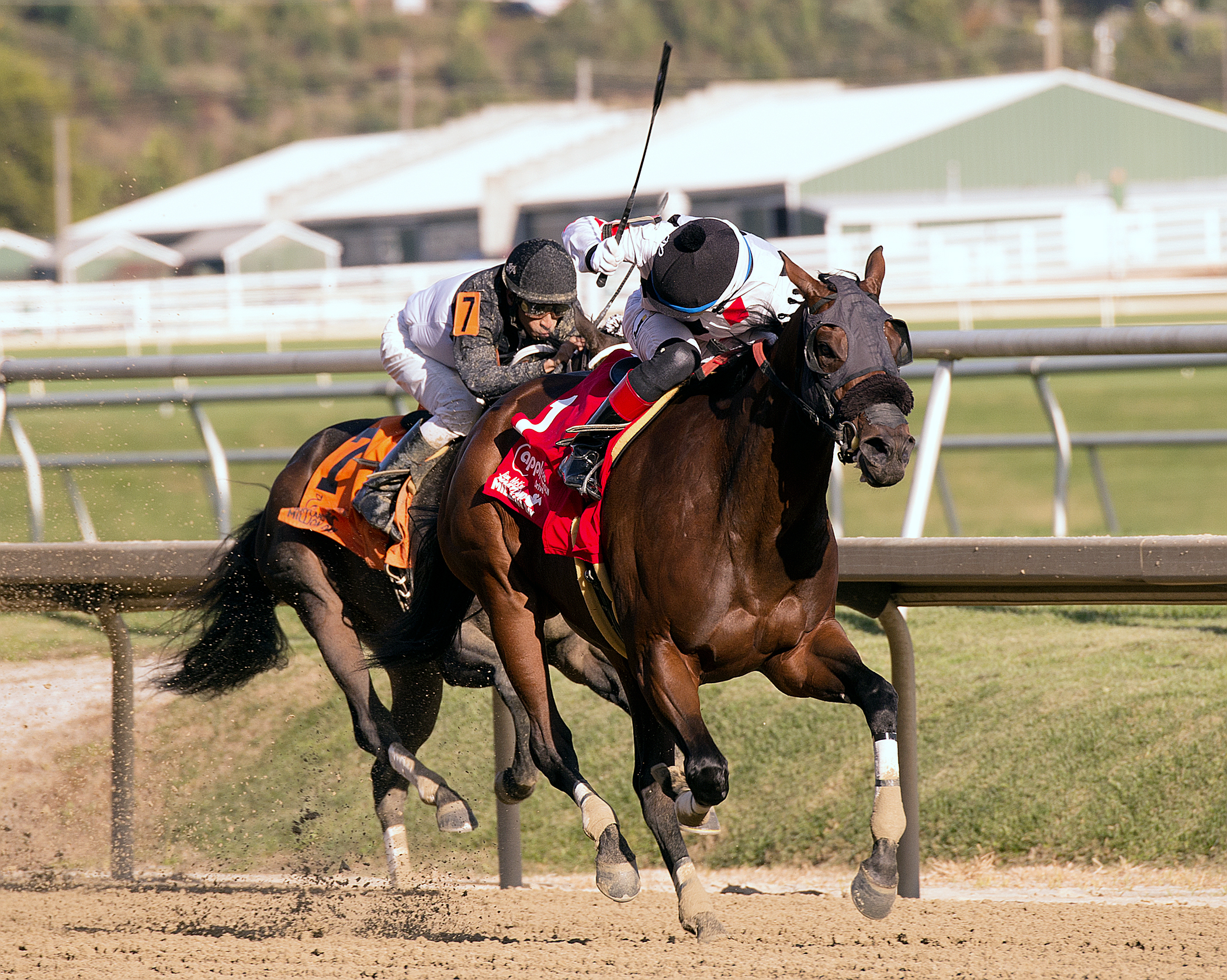 Lionhearted Lady wins the Maryland Million Distaff Handicap