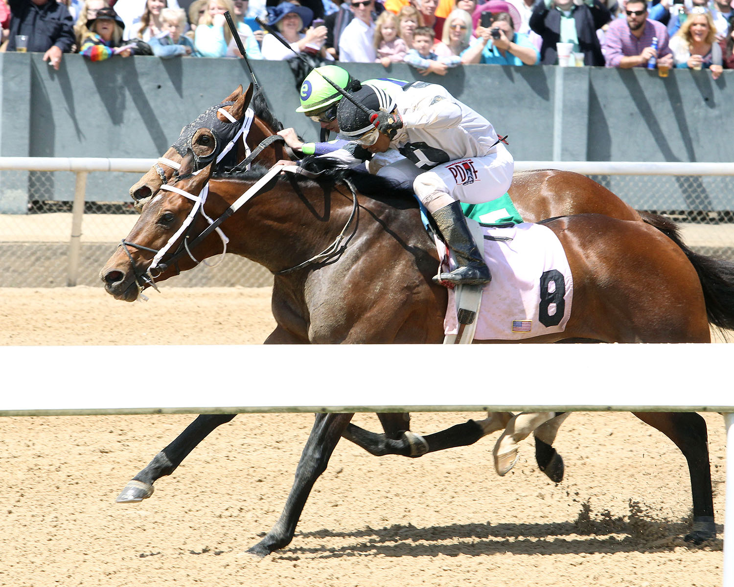 Lionite wins an April 14 maiden race