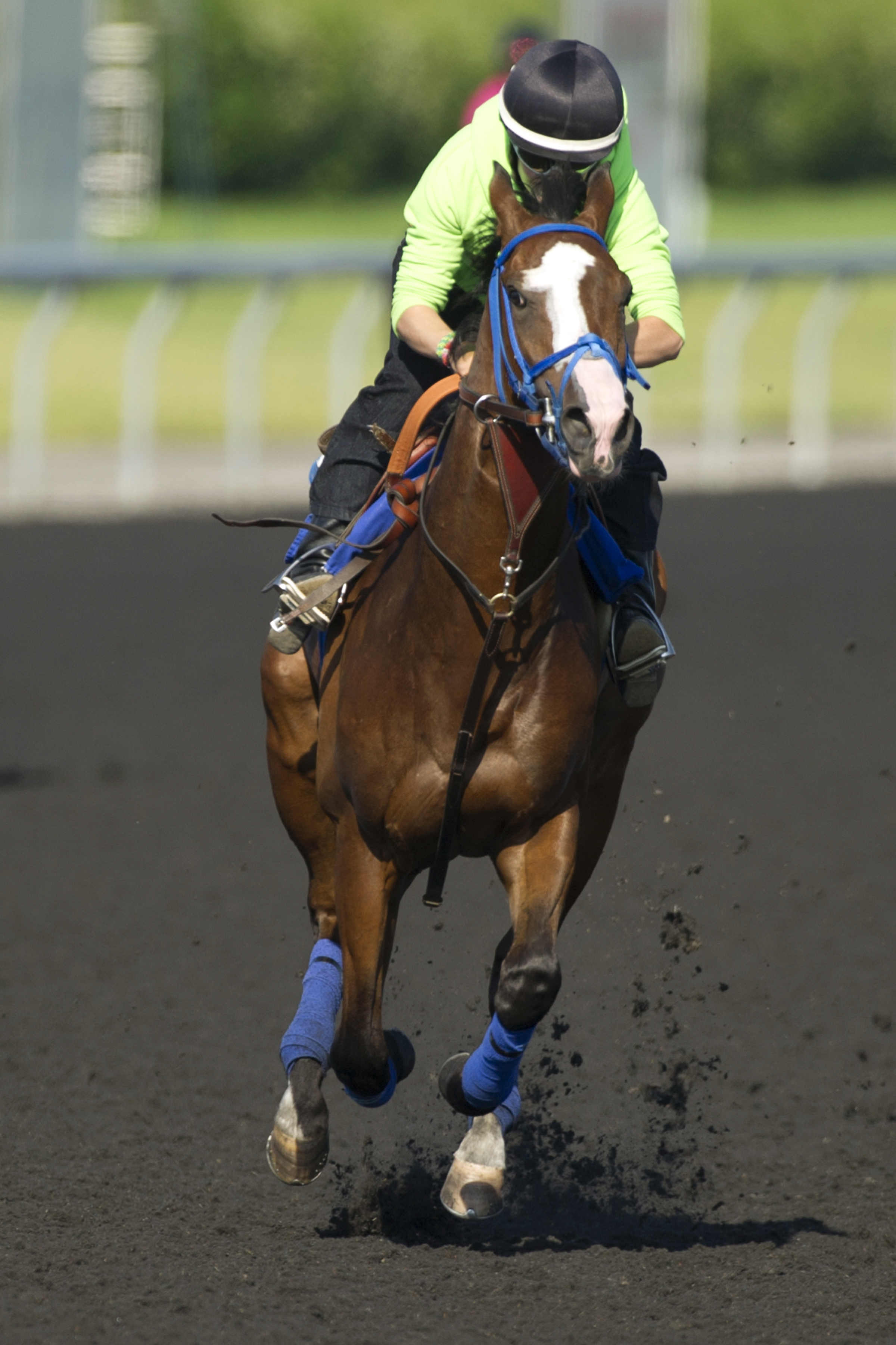 Lions Bay training in June