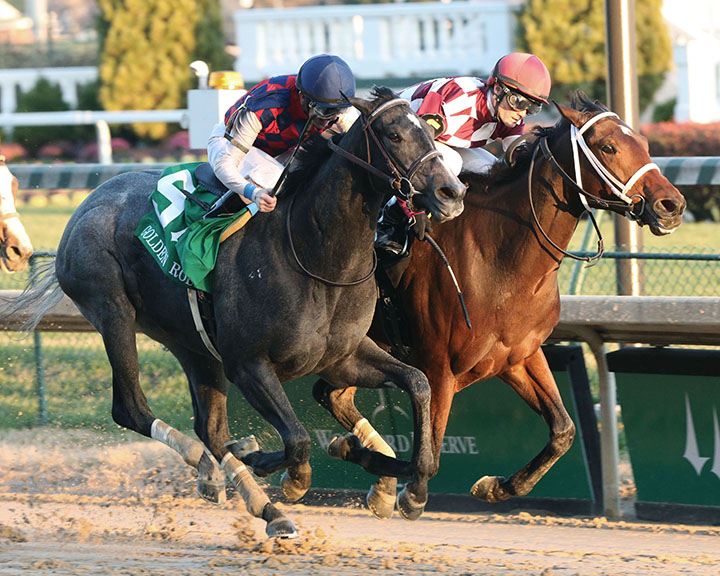 Liora wins the Golden Rod Stakes