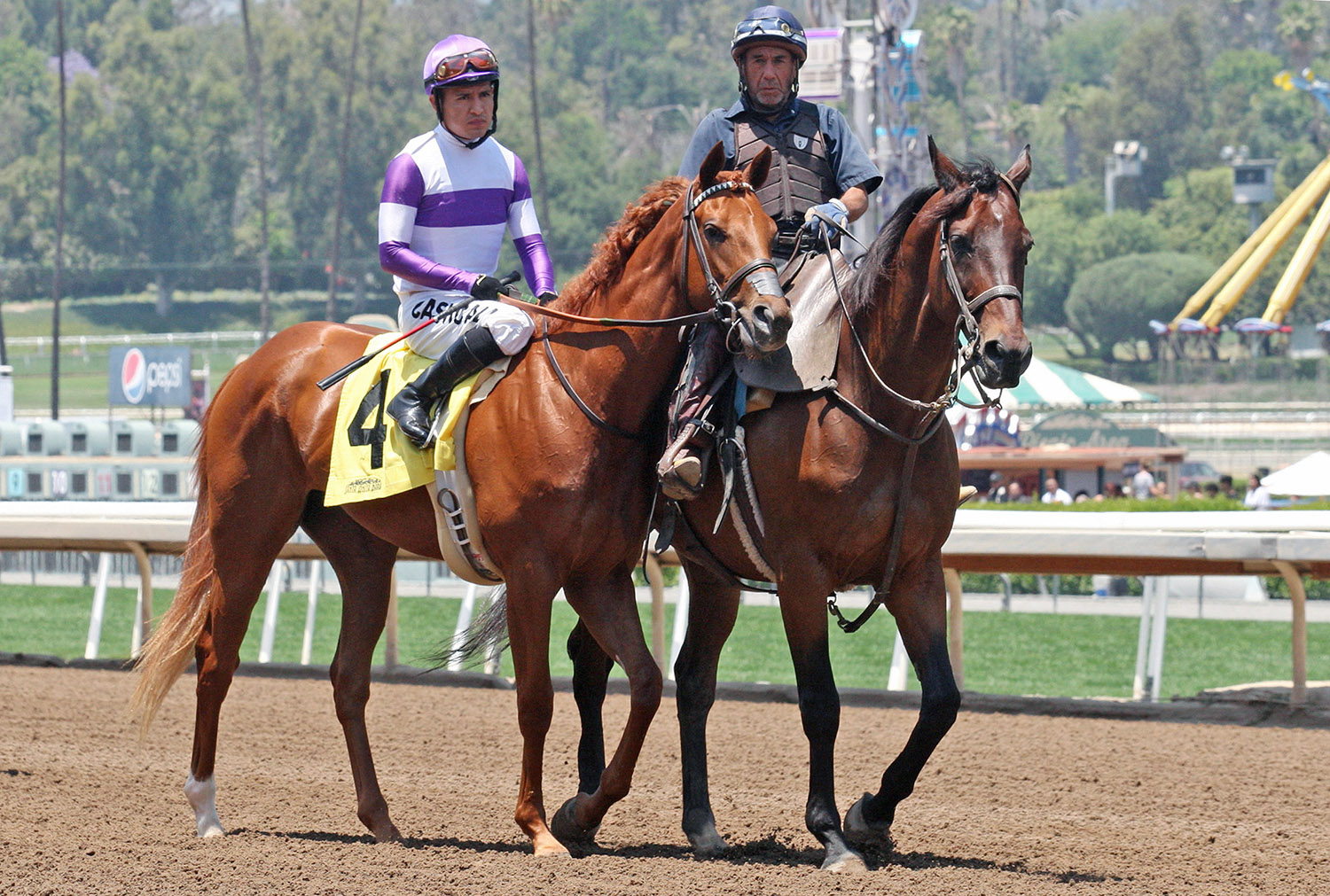 Lippy at Santa Anita Park on May 28