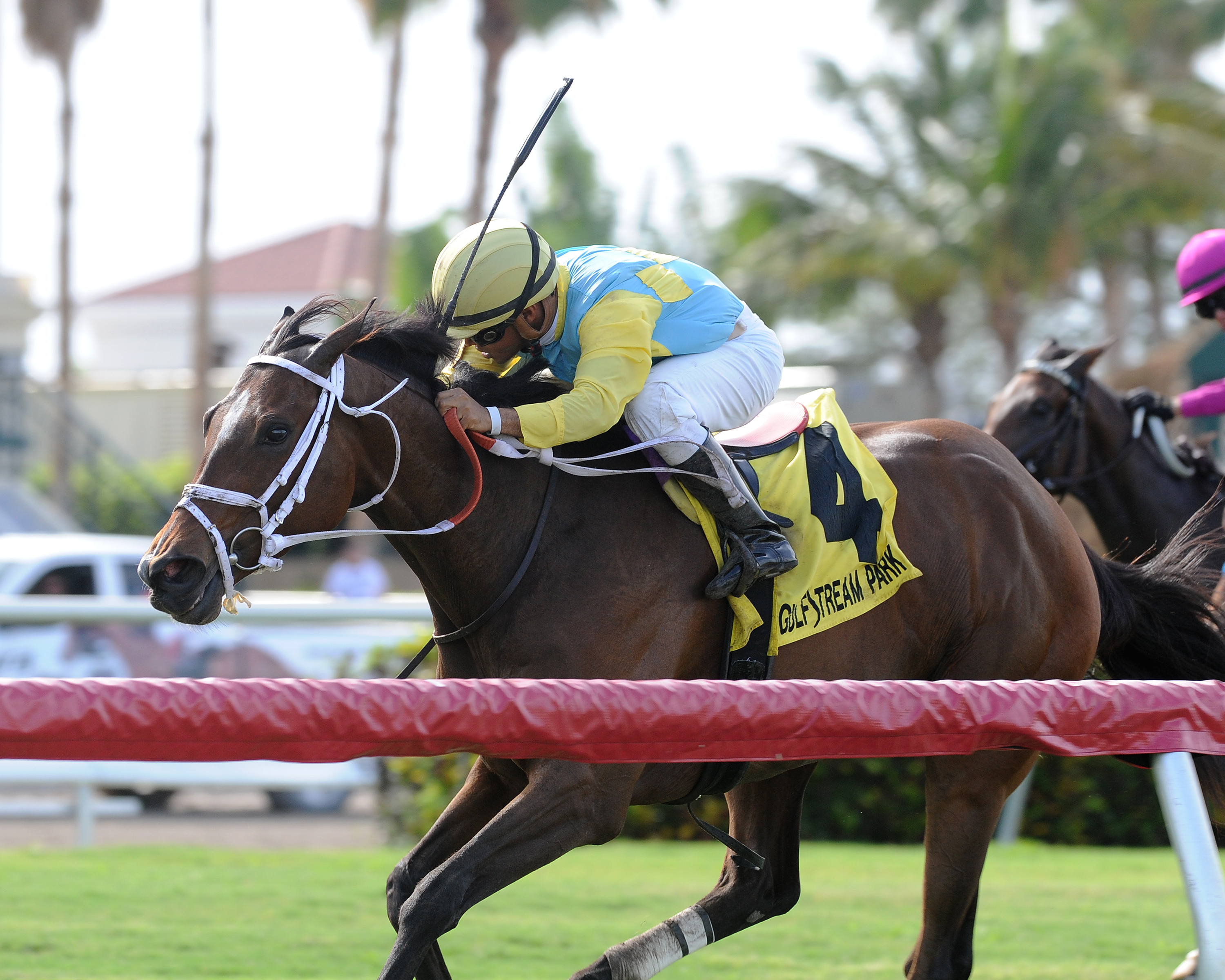 Lipstick City wins the 2018 Christmas Past Stakes