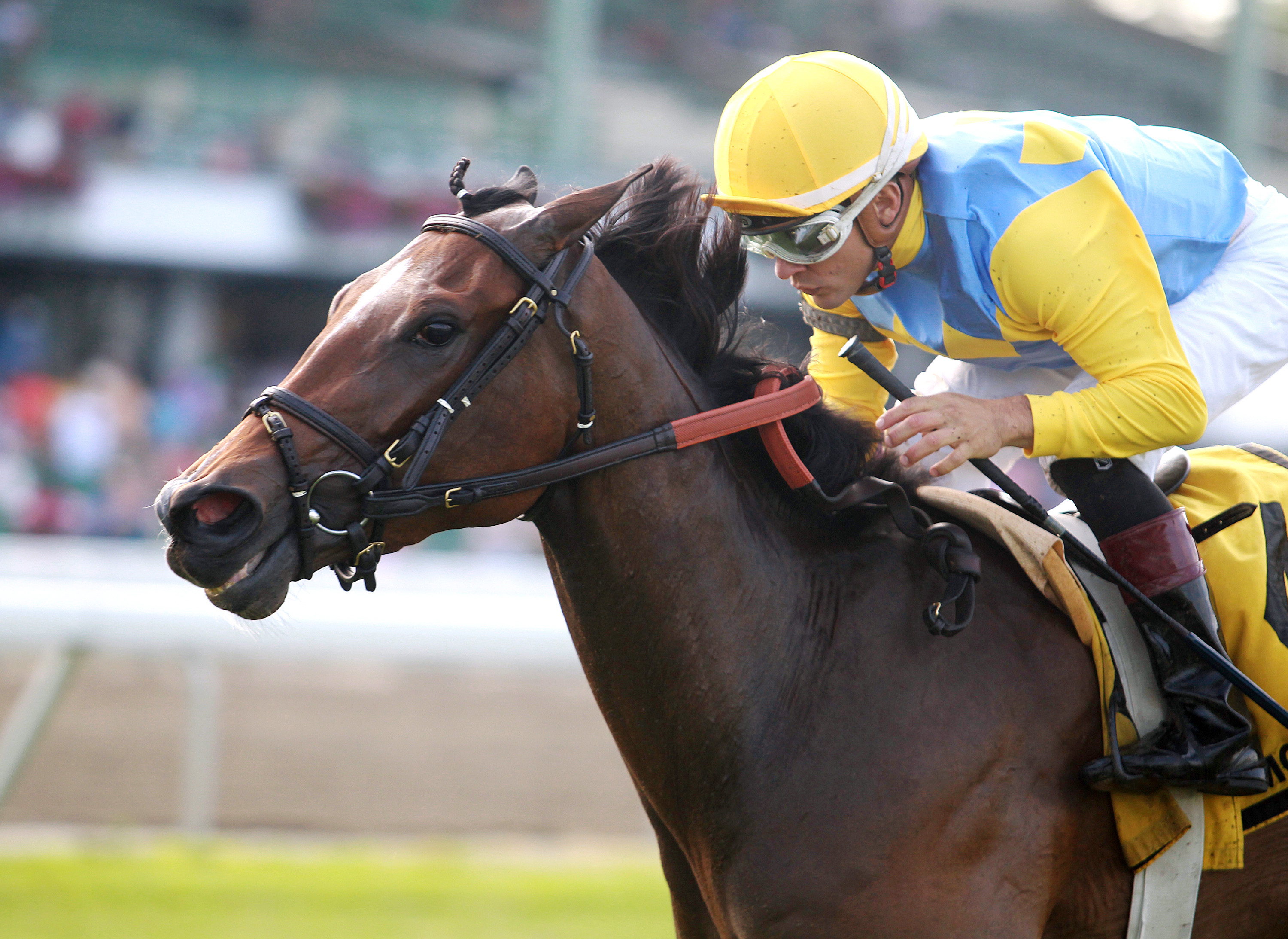 Lipstick City wins the 2017 Boiling Springs Stakes
