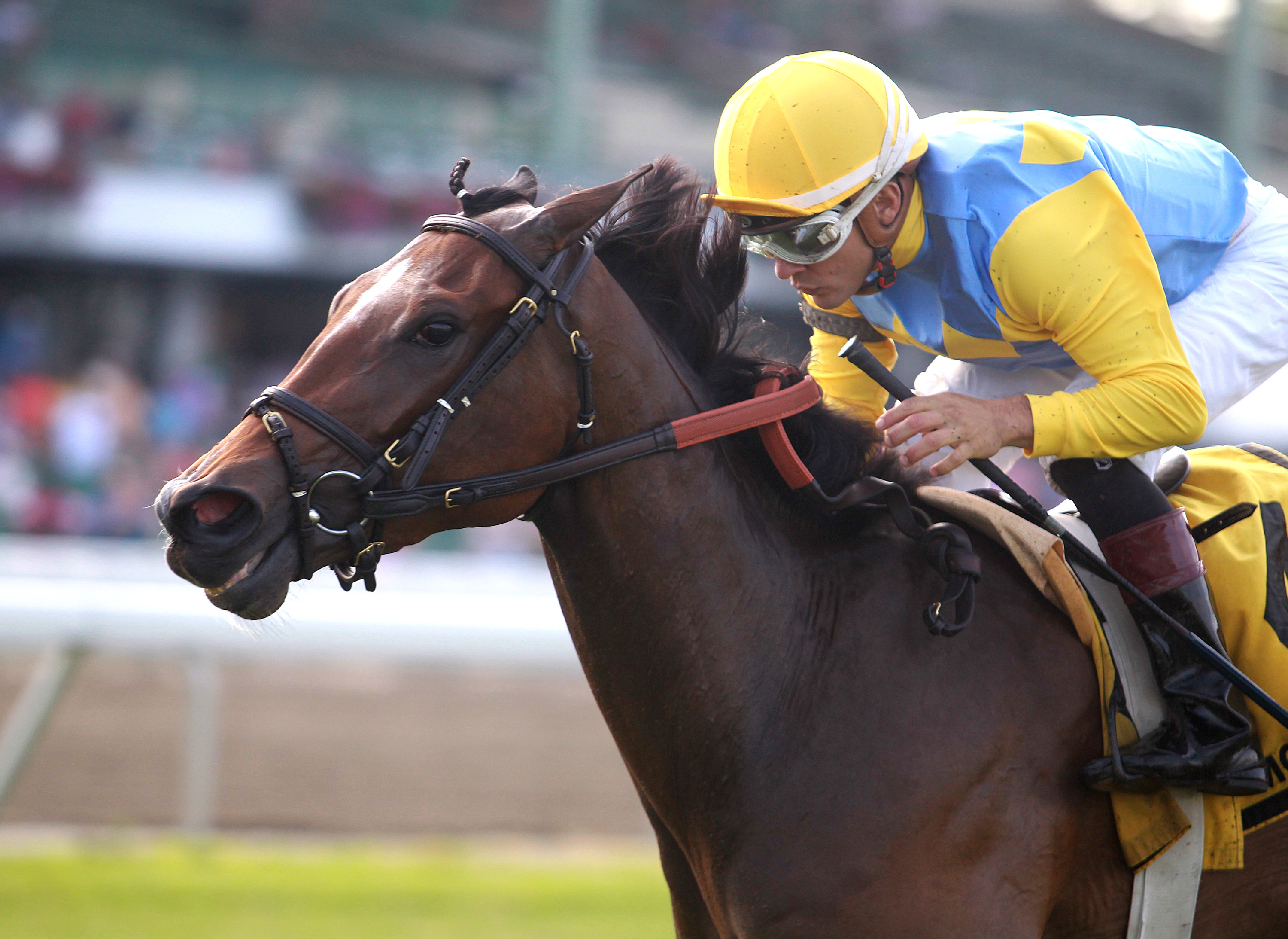Lipstick City wins the 2017 Boiling Springs at Monmouth Park