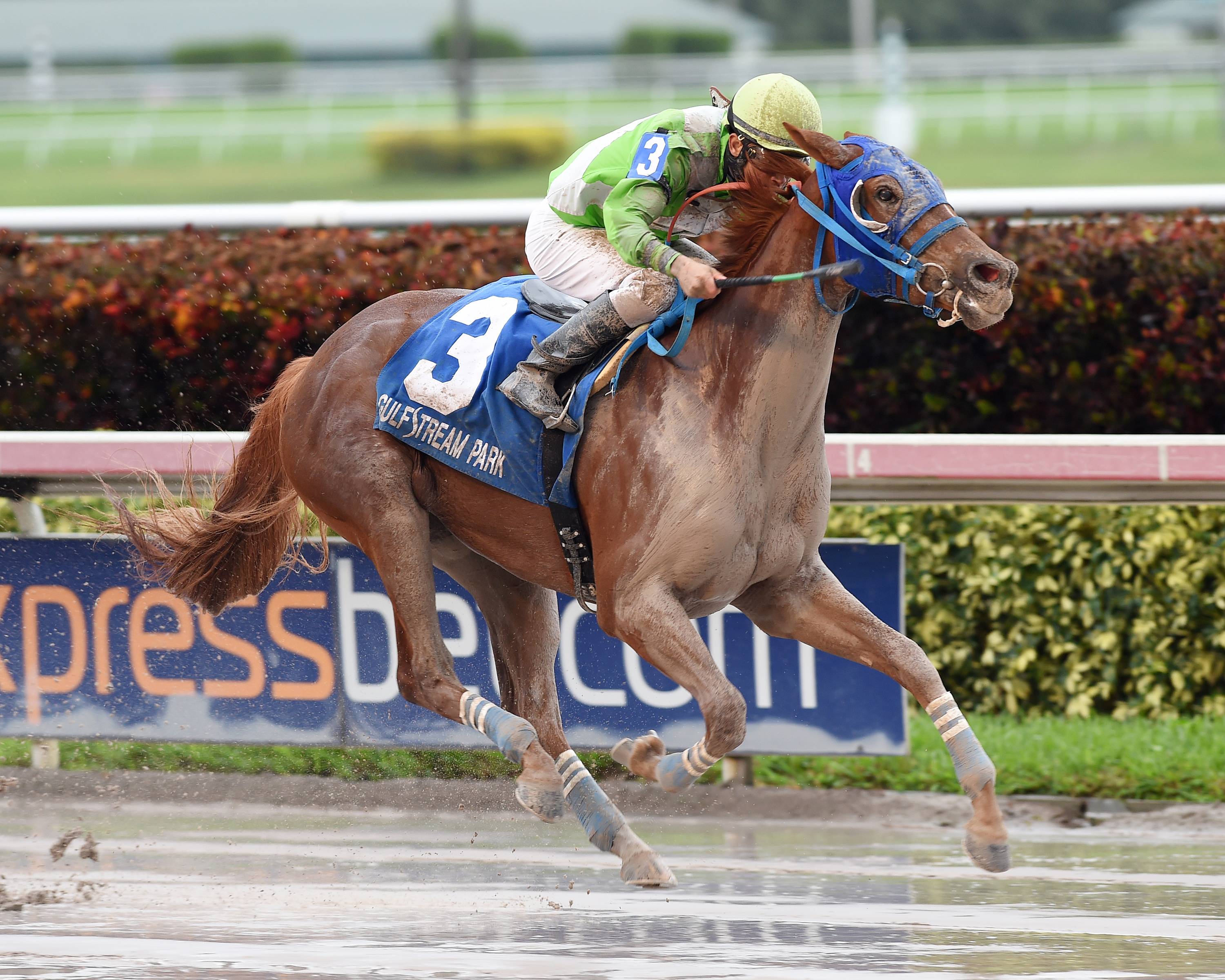 Lirica wins the 2016 Hut Hut Stakes