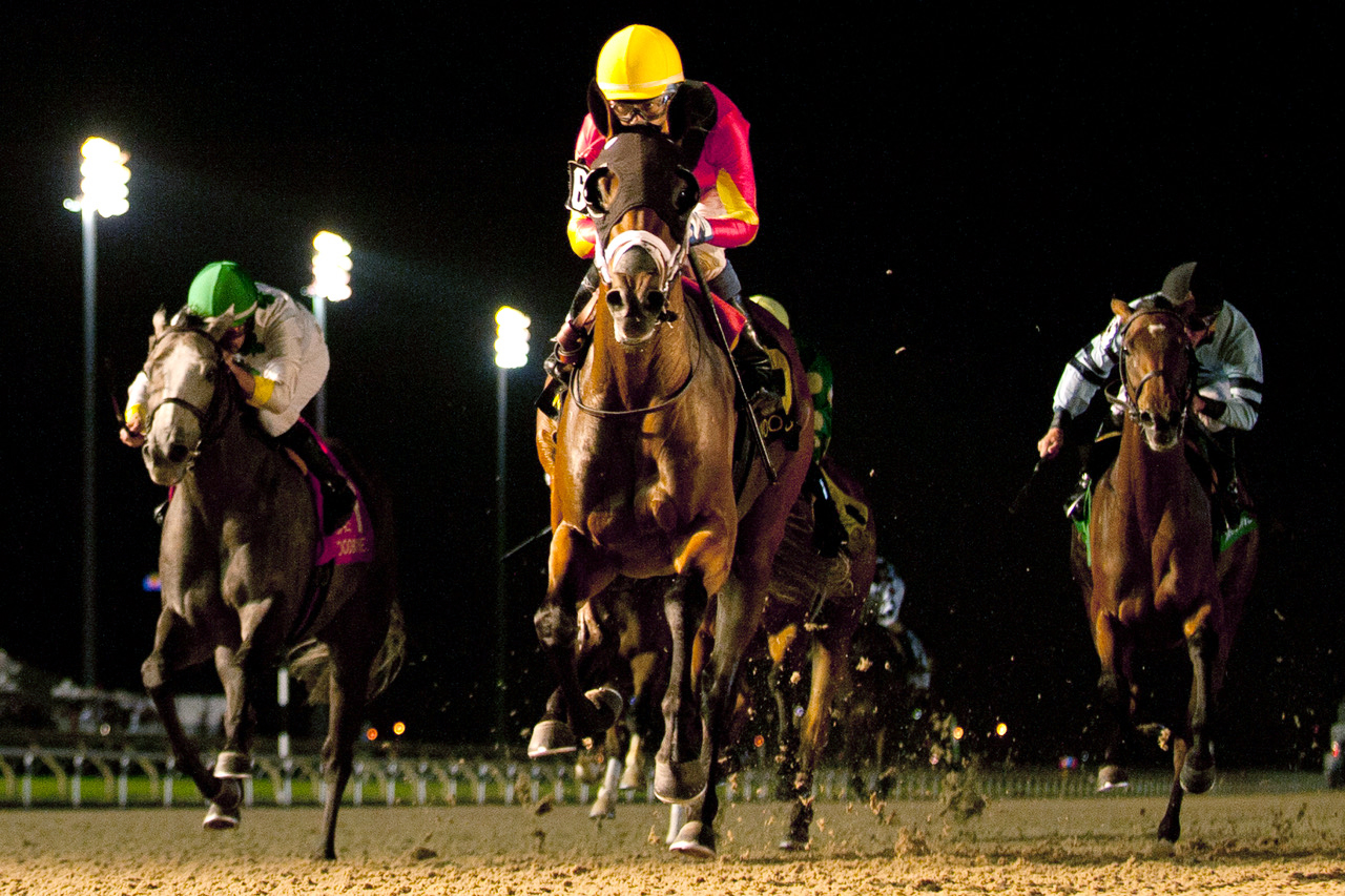 Listenlindalisten wins the 2017 Eternal Search Stakes