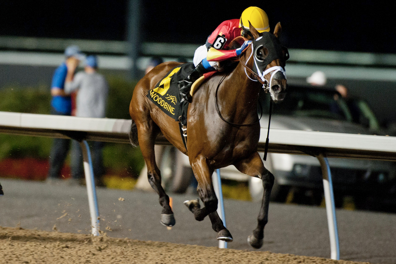 Listenlindalisten wins the 2017 Eternal Search Stakes