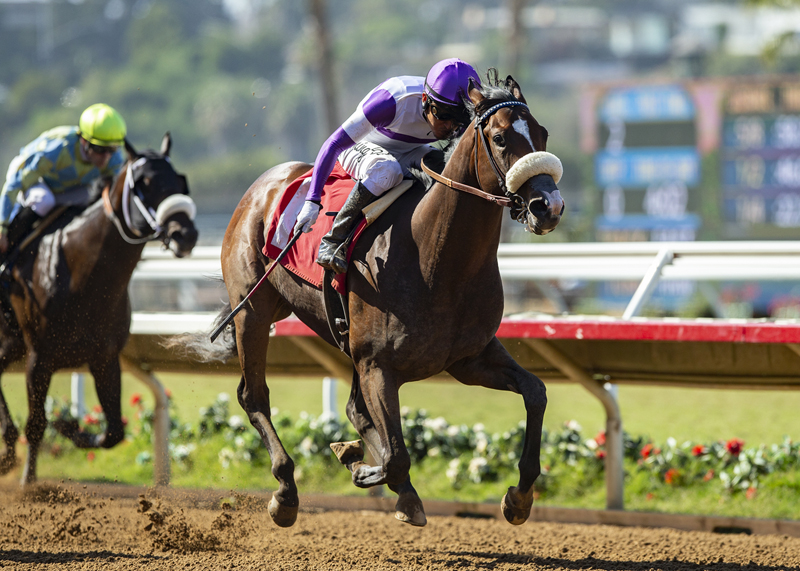 Listing wins the I'm Smokin