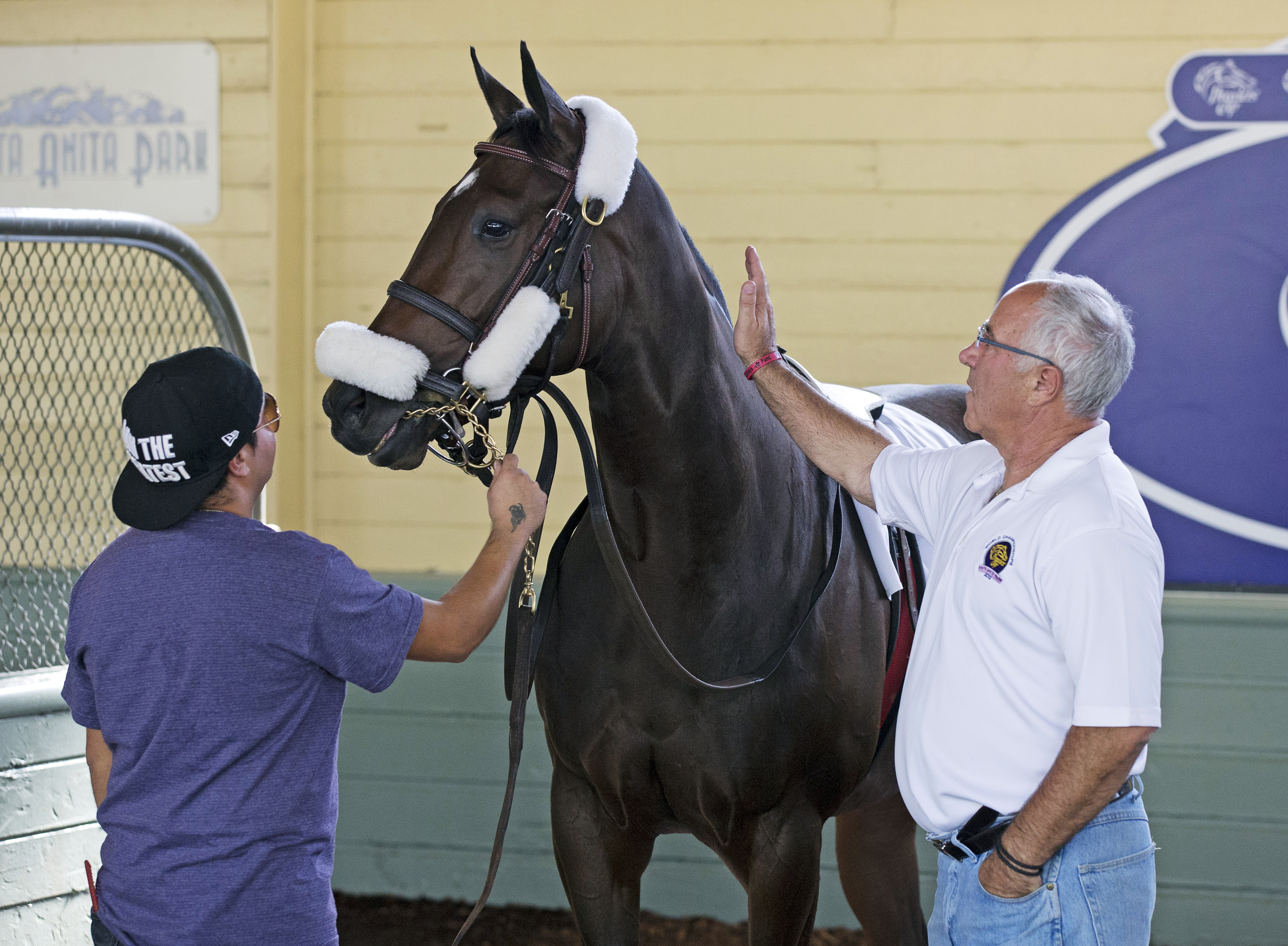 Little Alexis with Carlo Vaccarezza at the Breeders' Cup