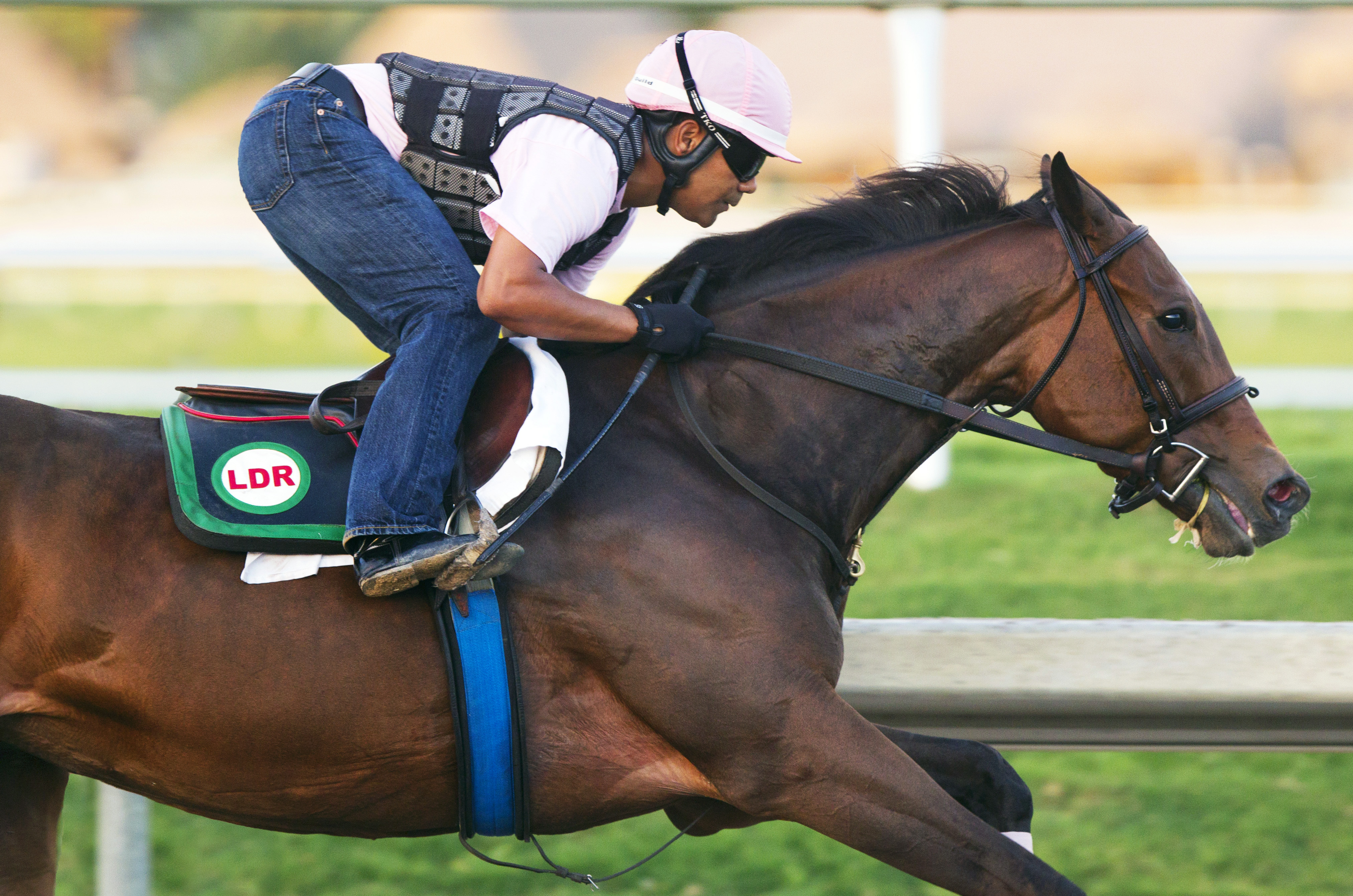 Little Alexis trains at Gulfstream Park on March 13
