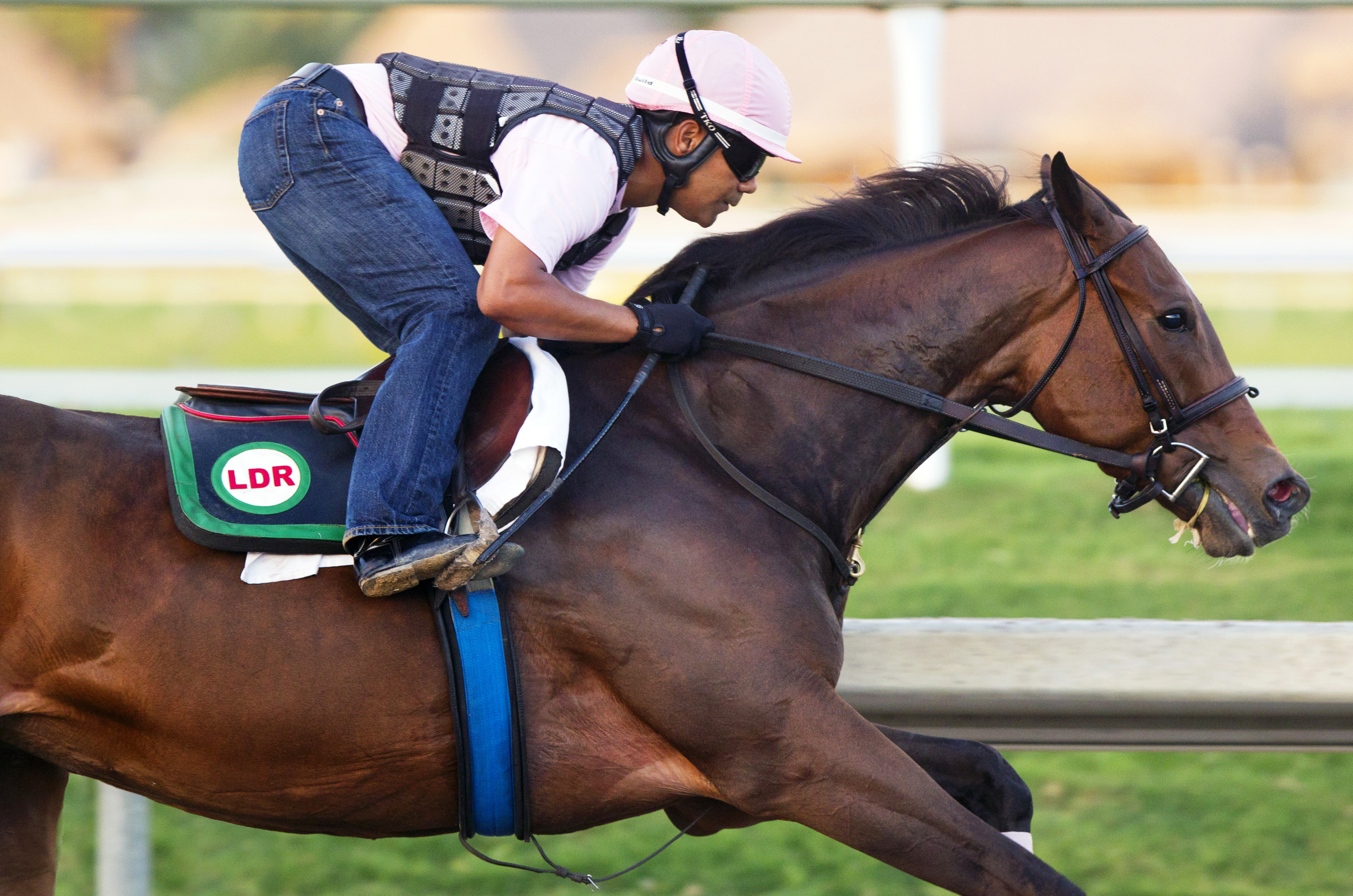 Little Alexis trains at Gulfstream Park on March 13