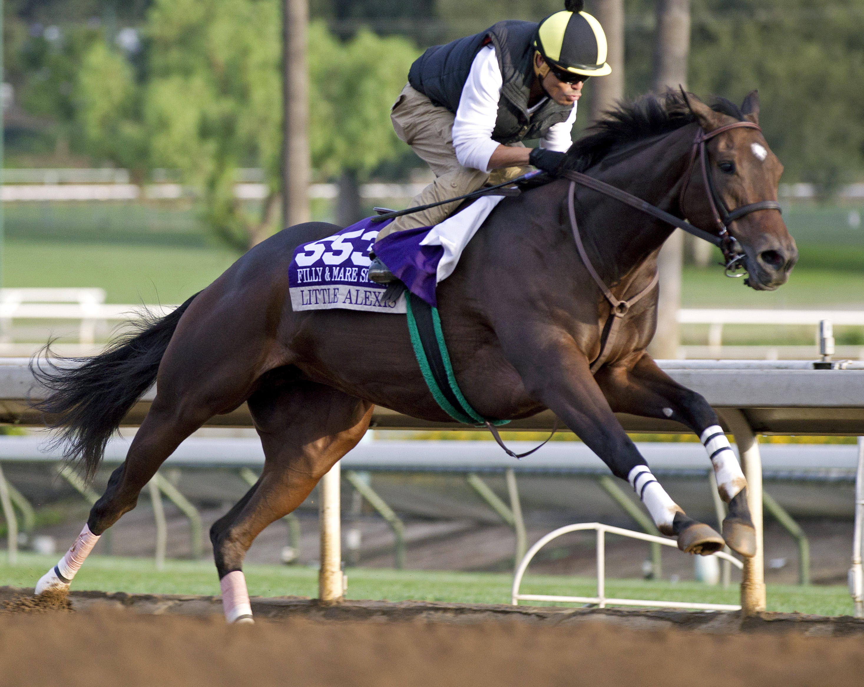 Little Alexis training at Santa Anita
