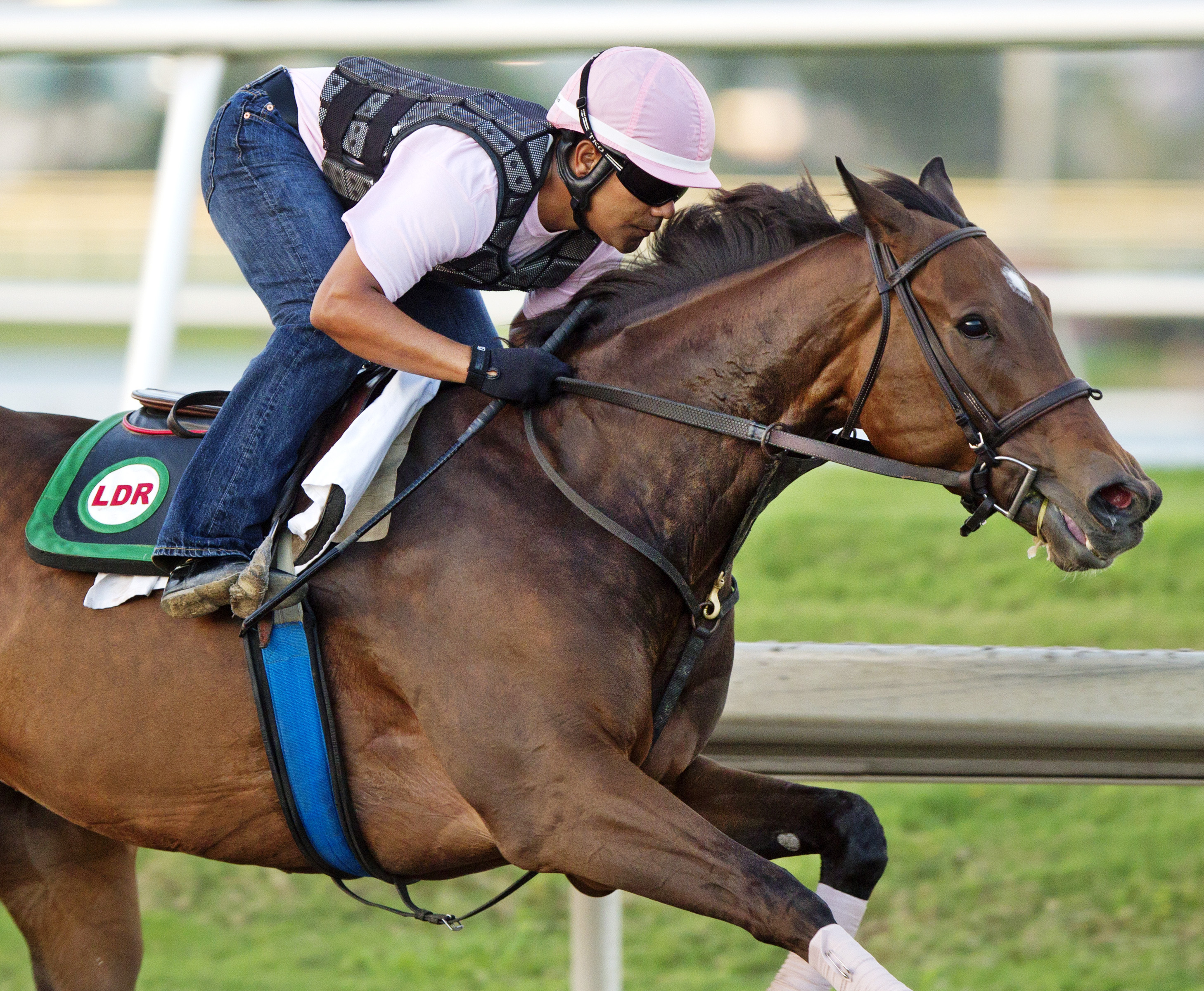 Little Alexis trains at Gulfstream Park on March 13