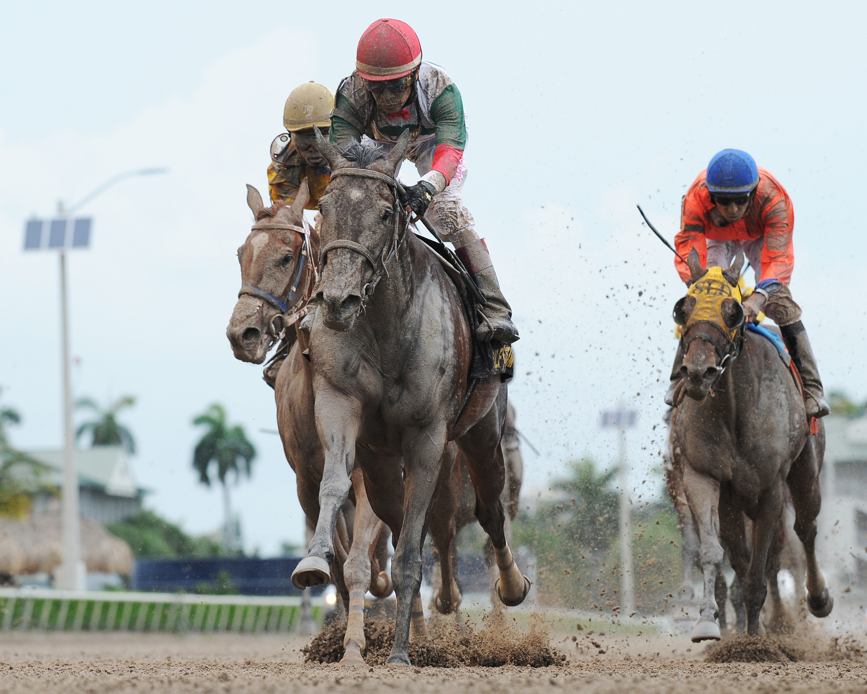 Little Alexis wins the Cash Run Stakes