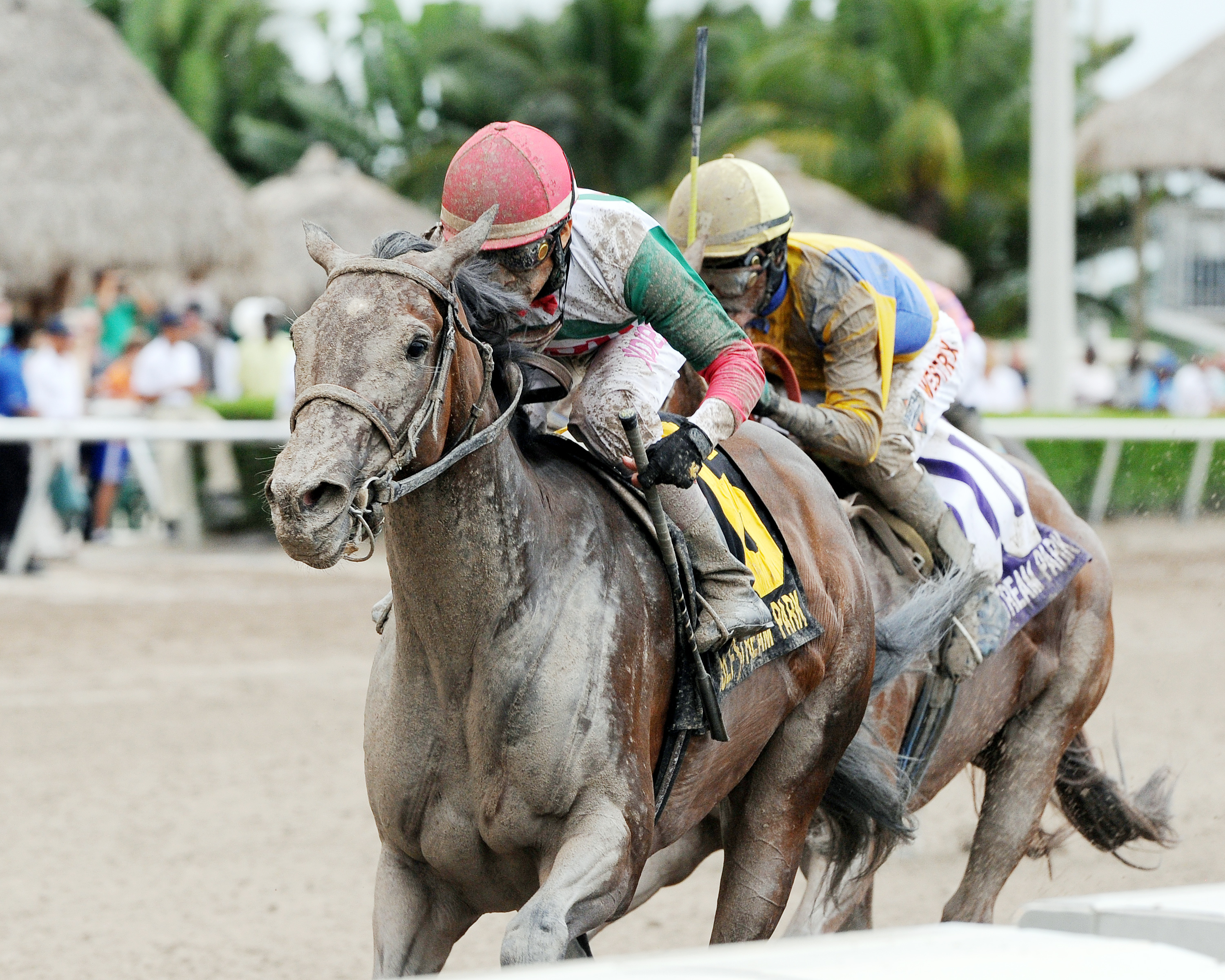 Little Alexis wins the Cash Run Stakes