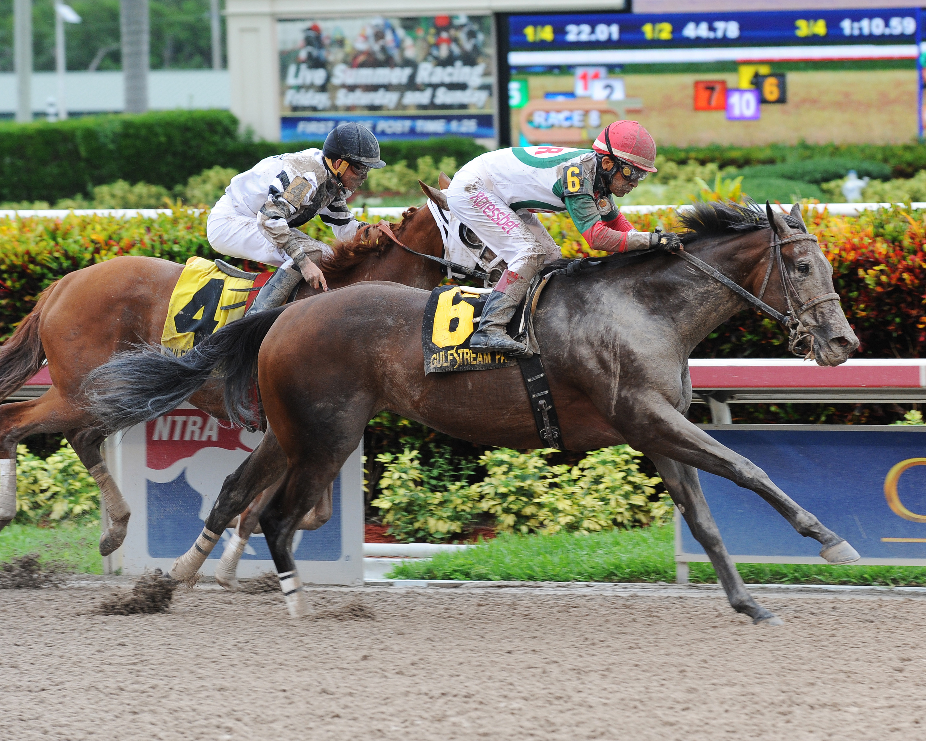 Little Alexis wins the Cash Run Stakes