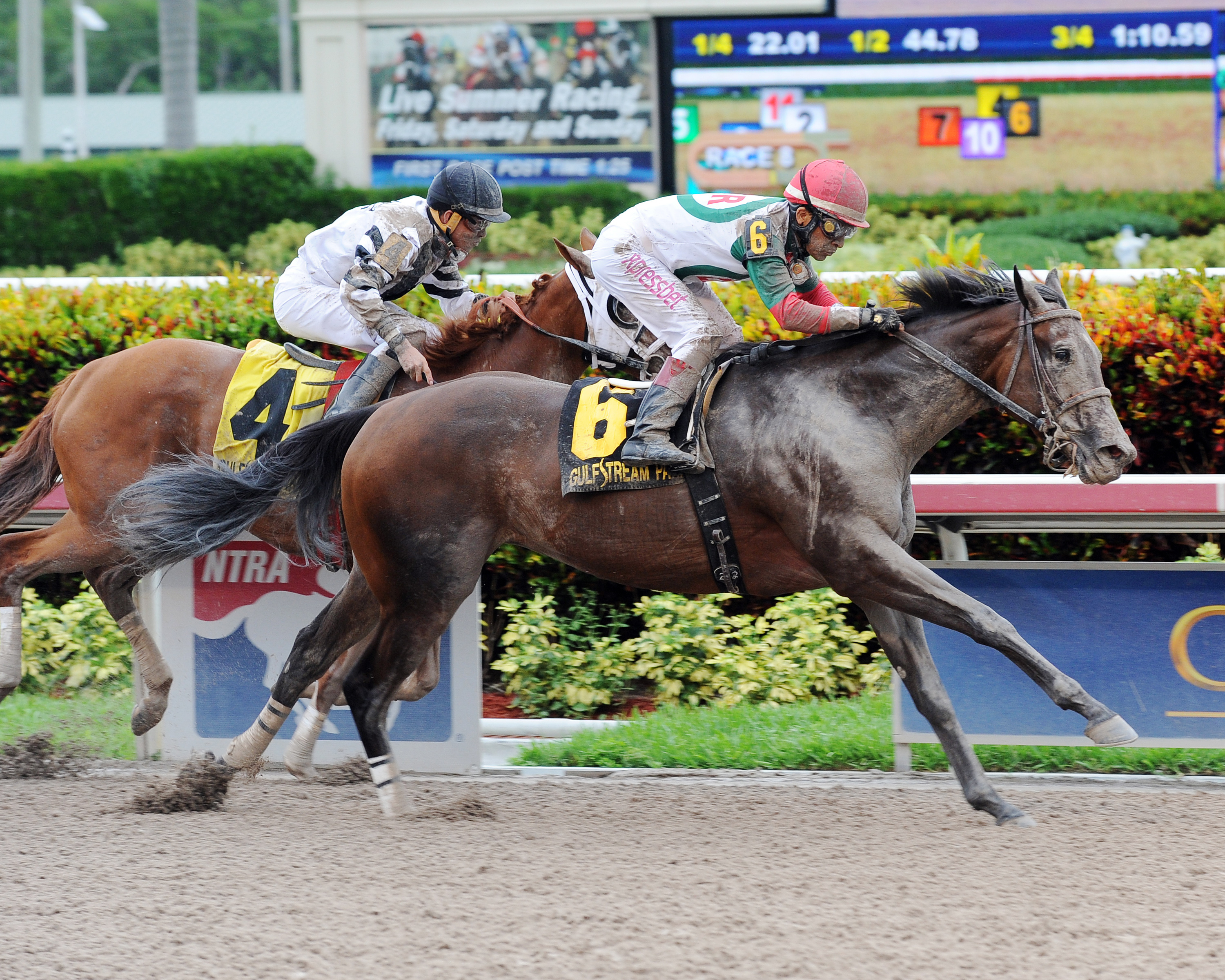 Little Alexis wins the Cash Run Stakes
