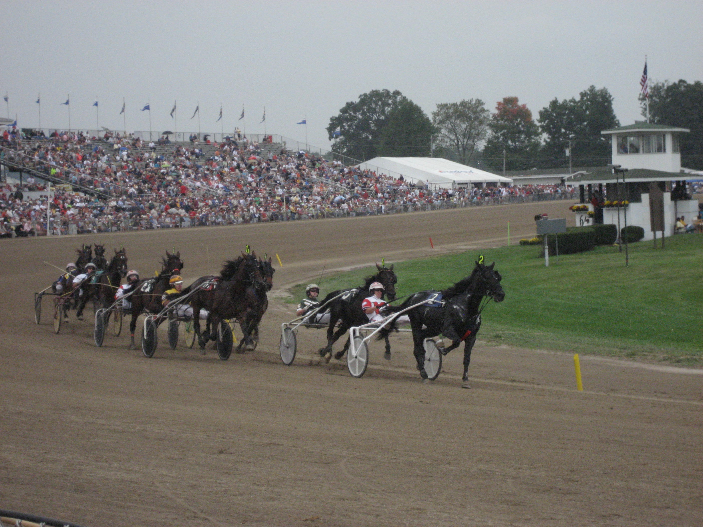 Little Brown Jug