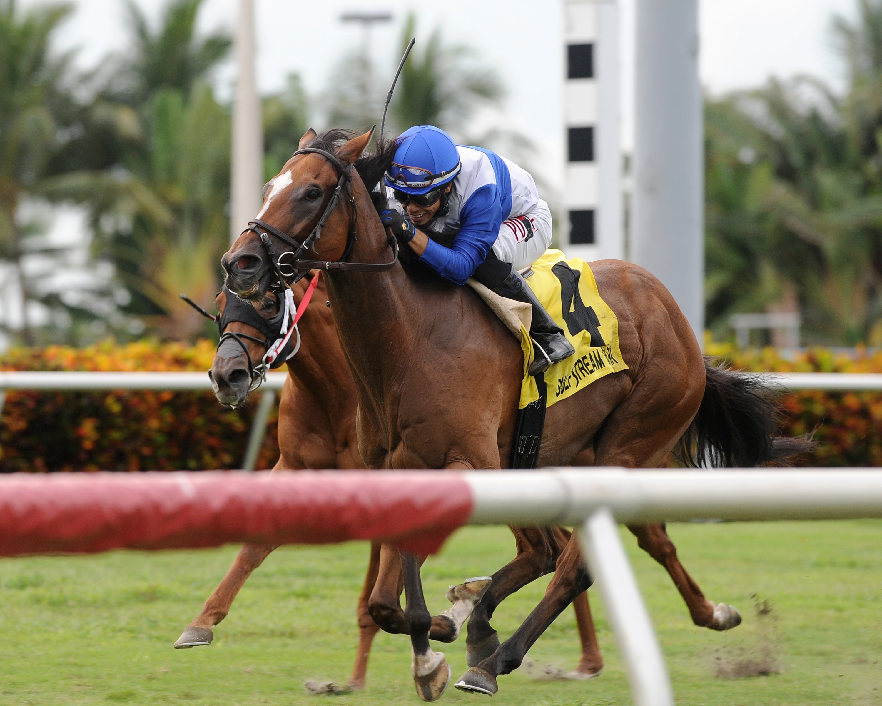 Little Chesney wins 2018 Jupiter