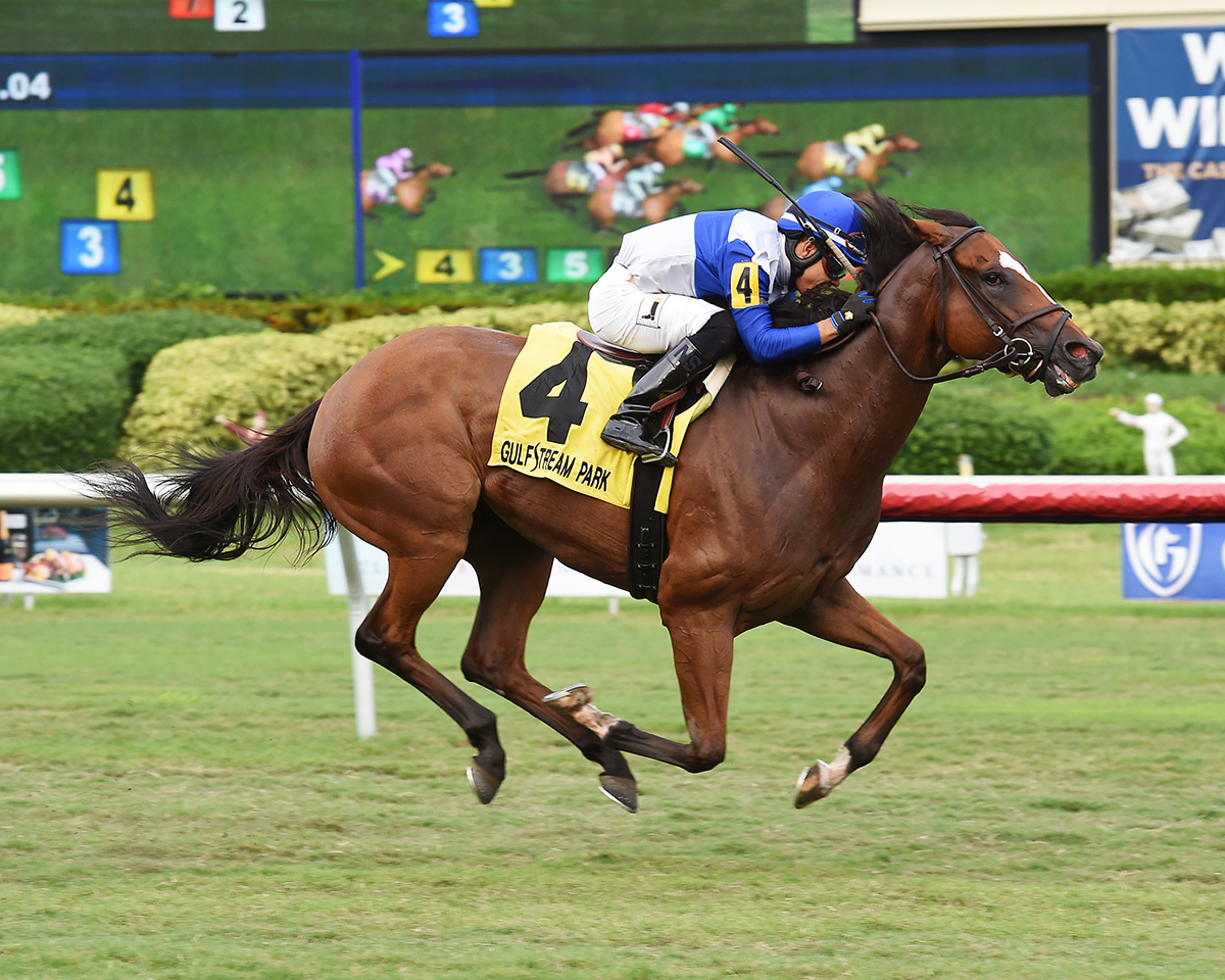Little Chesney wins the Jupiter Beach Stakes