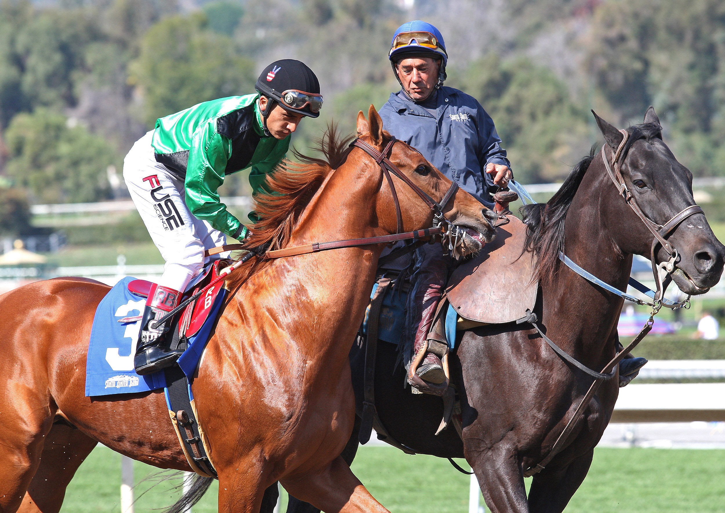Little Curlin at a maiden race in February 2014