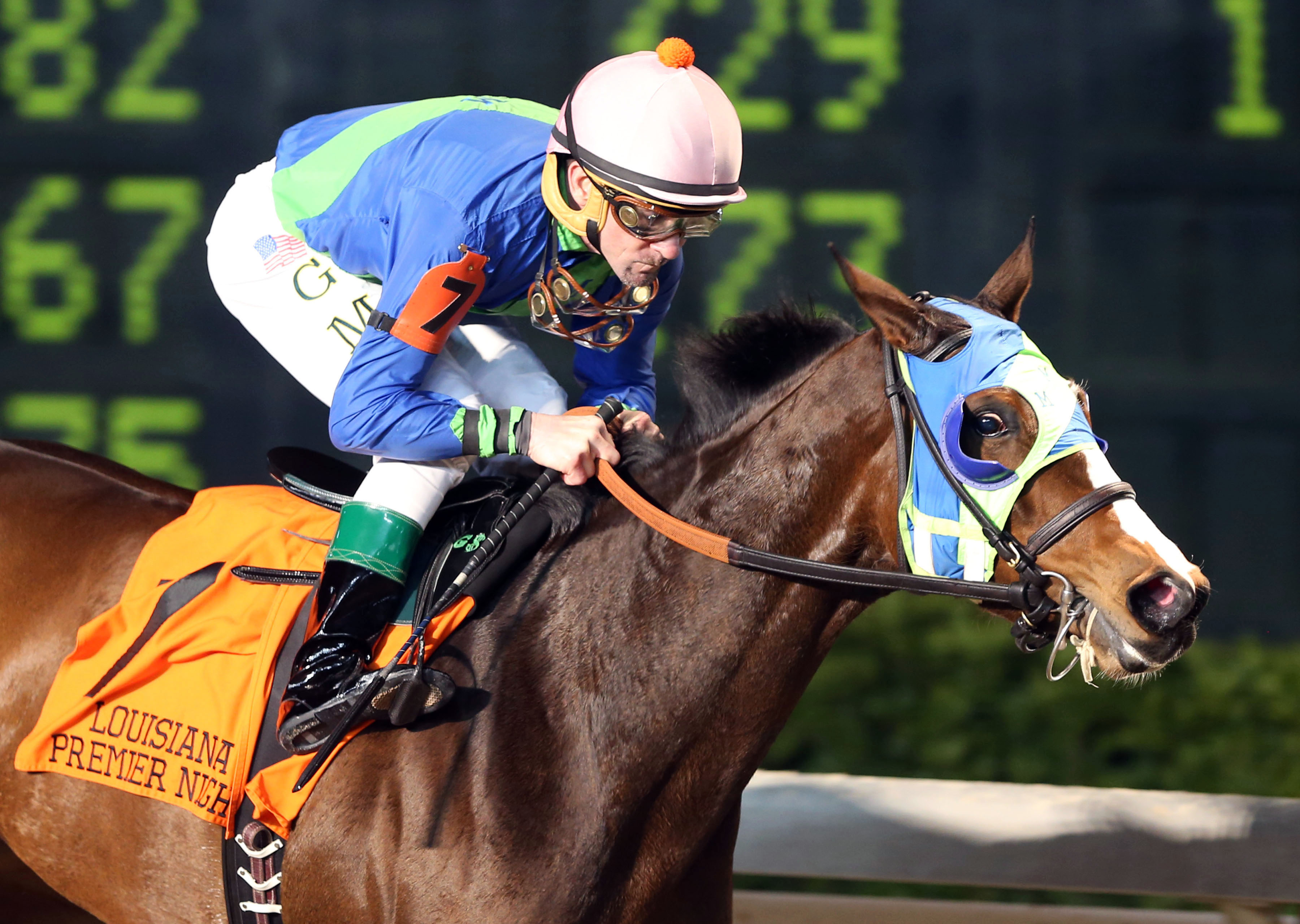 Little Face wins the Louisiana-bred Premier Night Ladies Starter