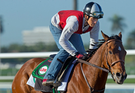 Little Mike Gulfstream Park 3-3-14