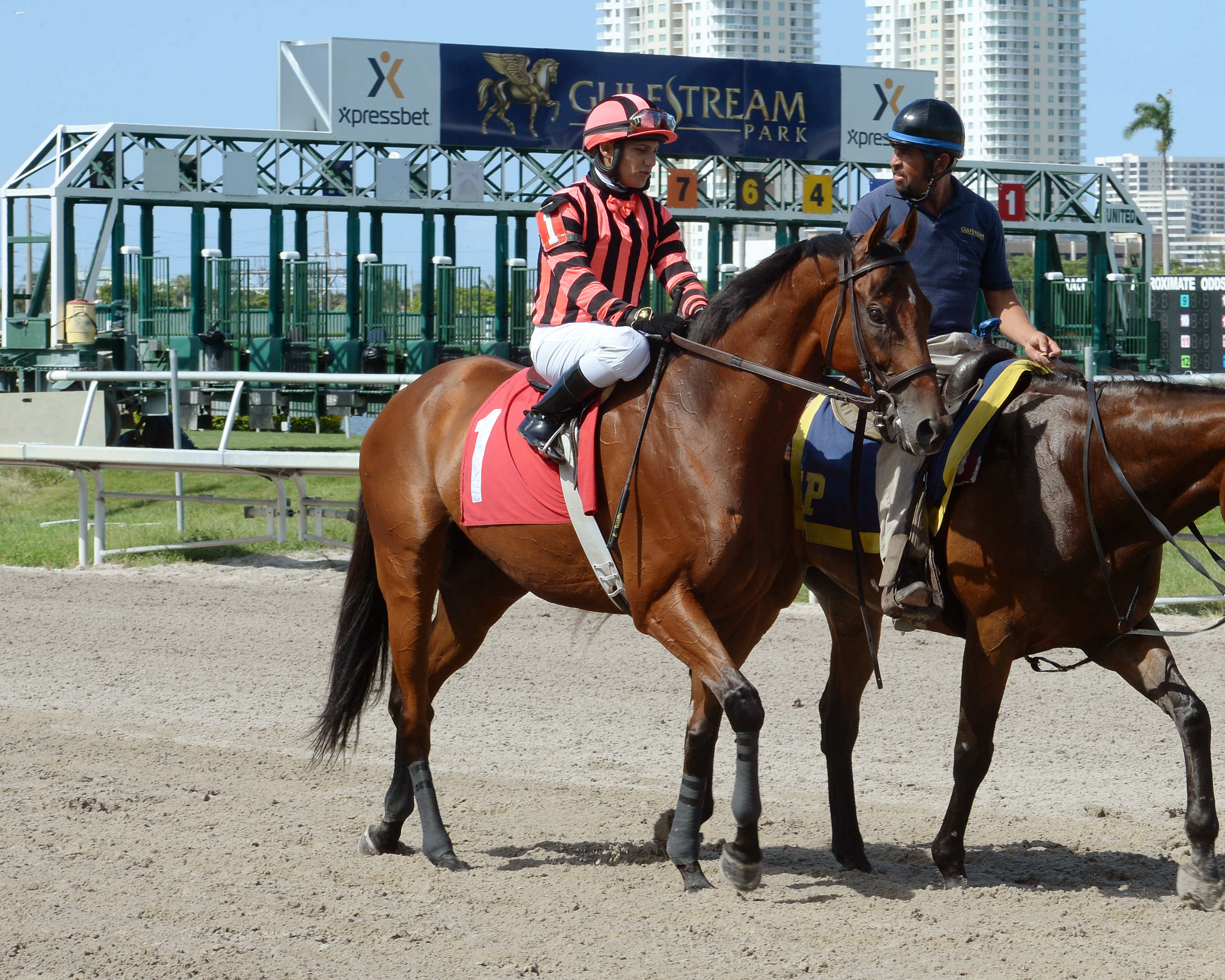 Little Mike at Gulfstream Park on July 10