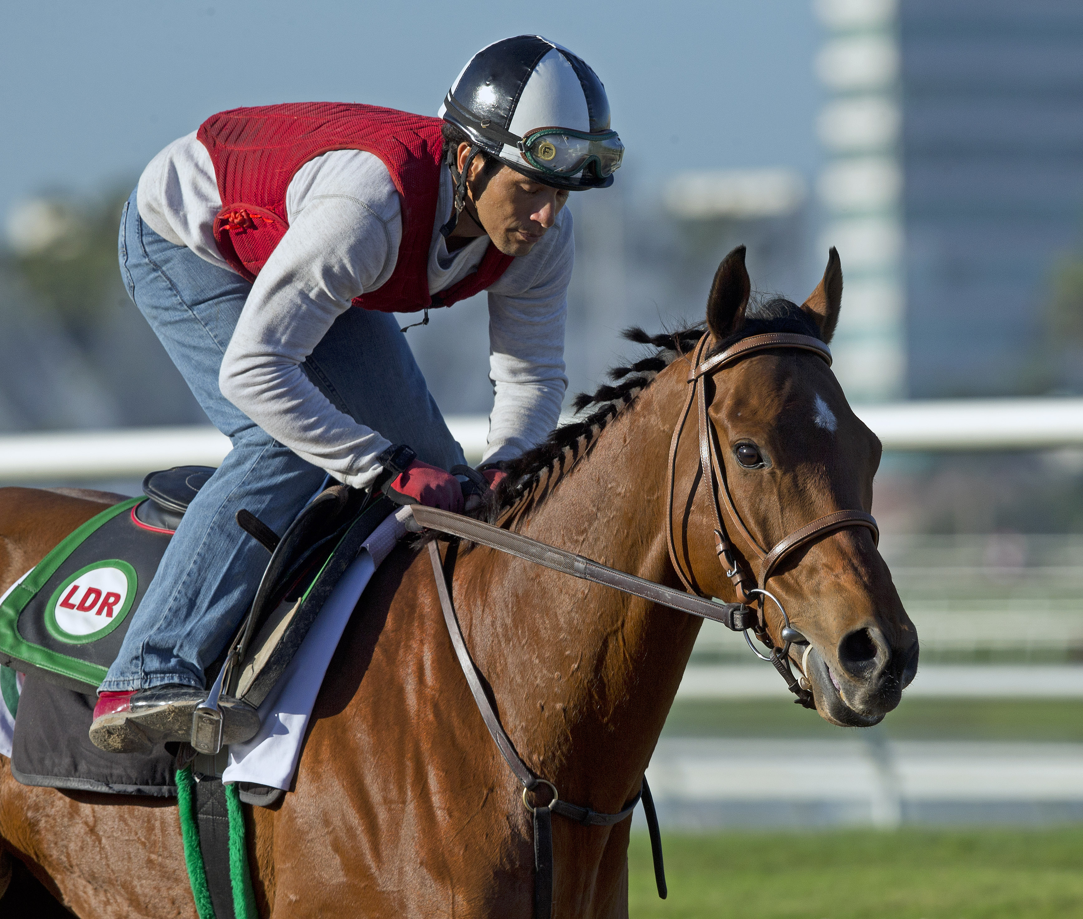 Little Mike trains at Gulfstream Park on March 3