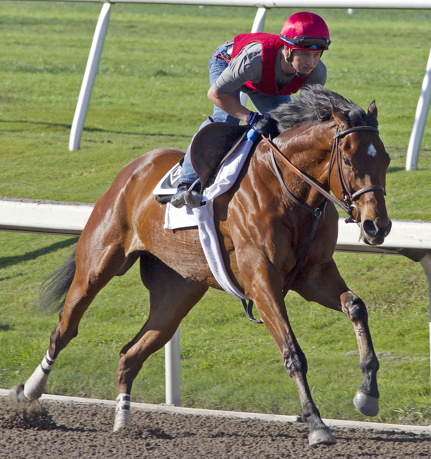 Little Mike training at Gulfstream