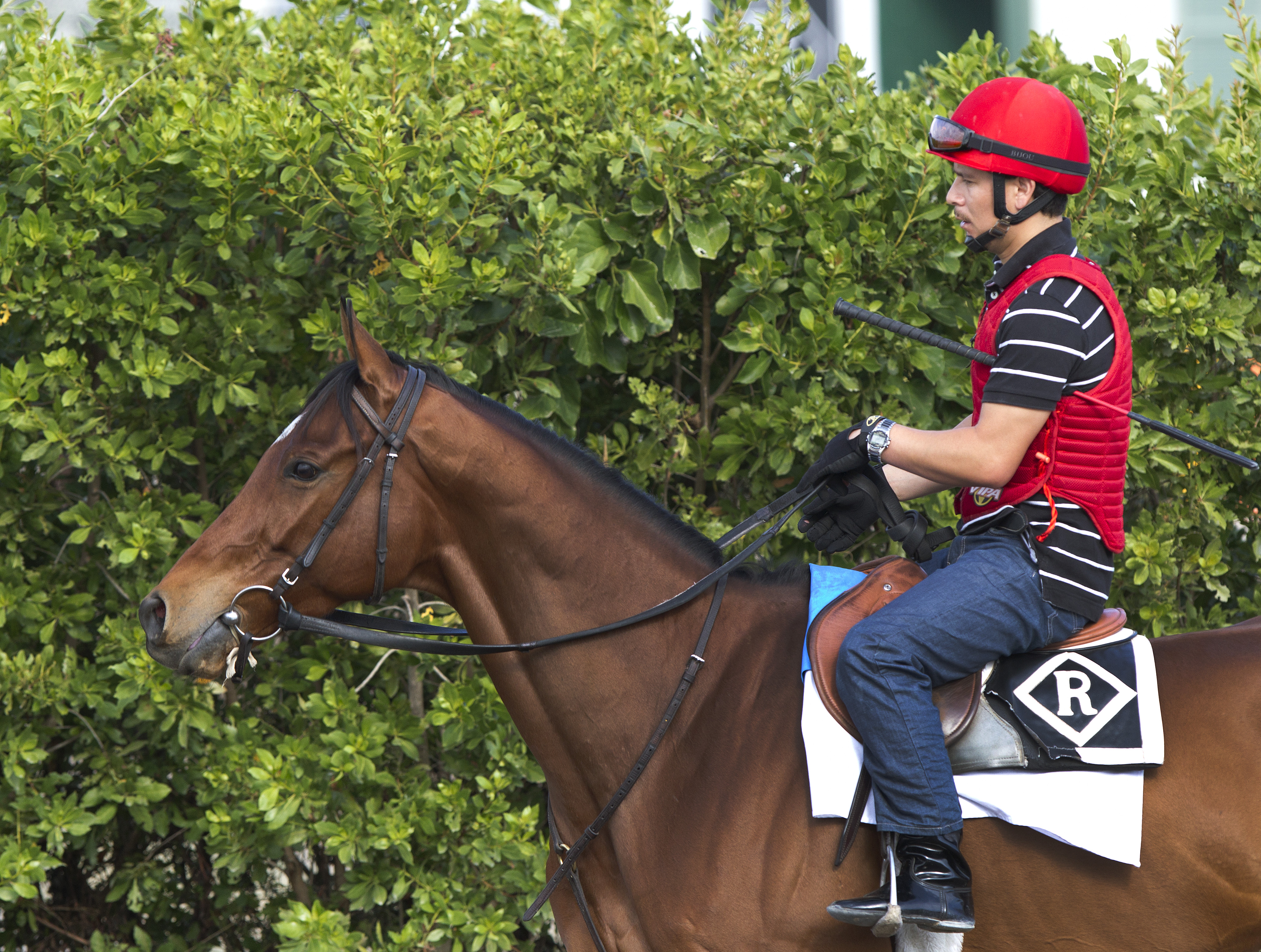 Dubai: Little Mike goes back to turf and gets Stevens