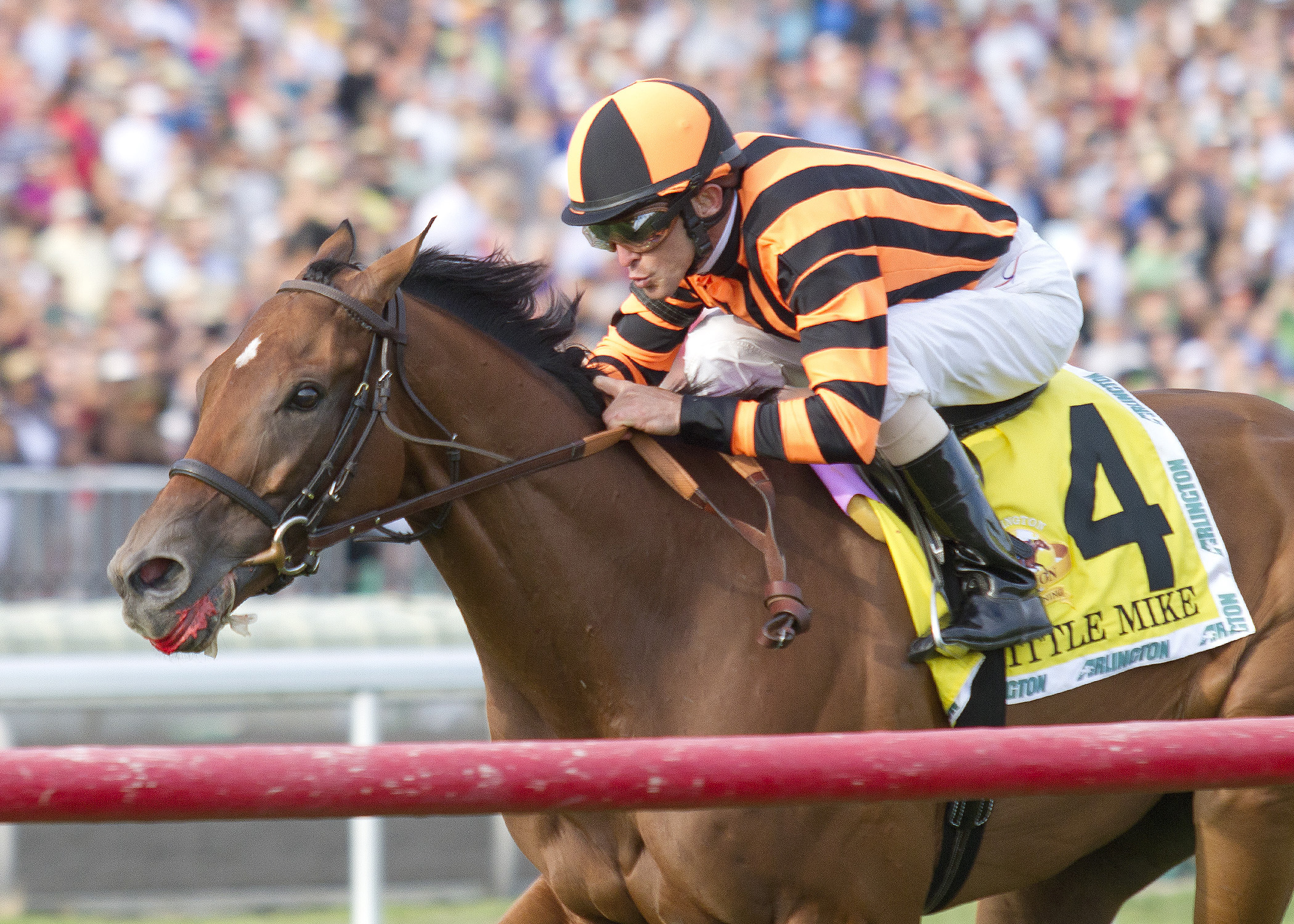 Little Mike/Arlington Million