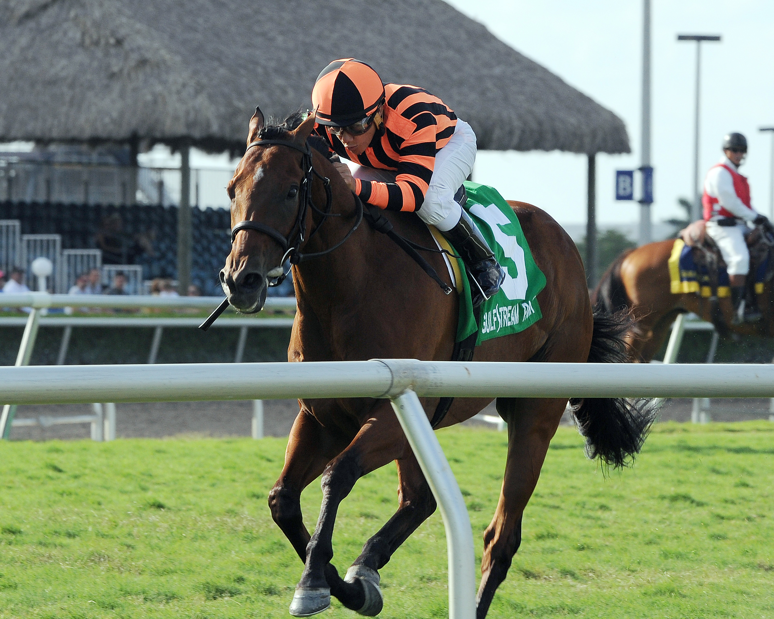 Little Mike wins the Flying Pigeon
