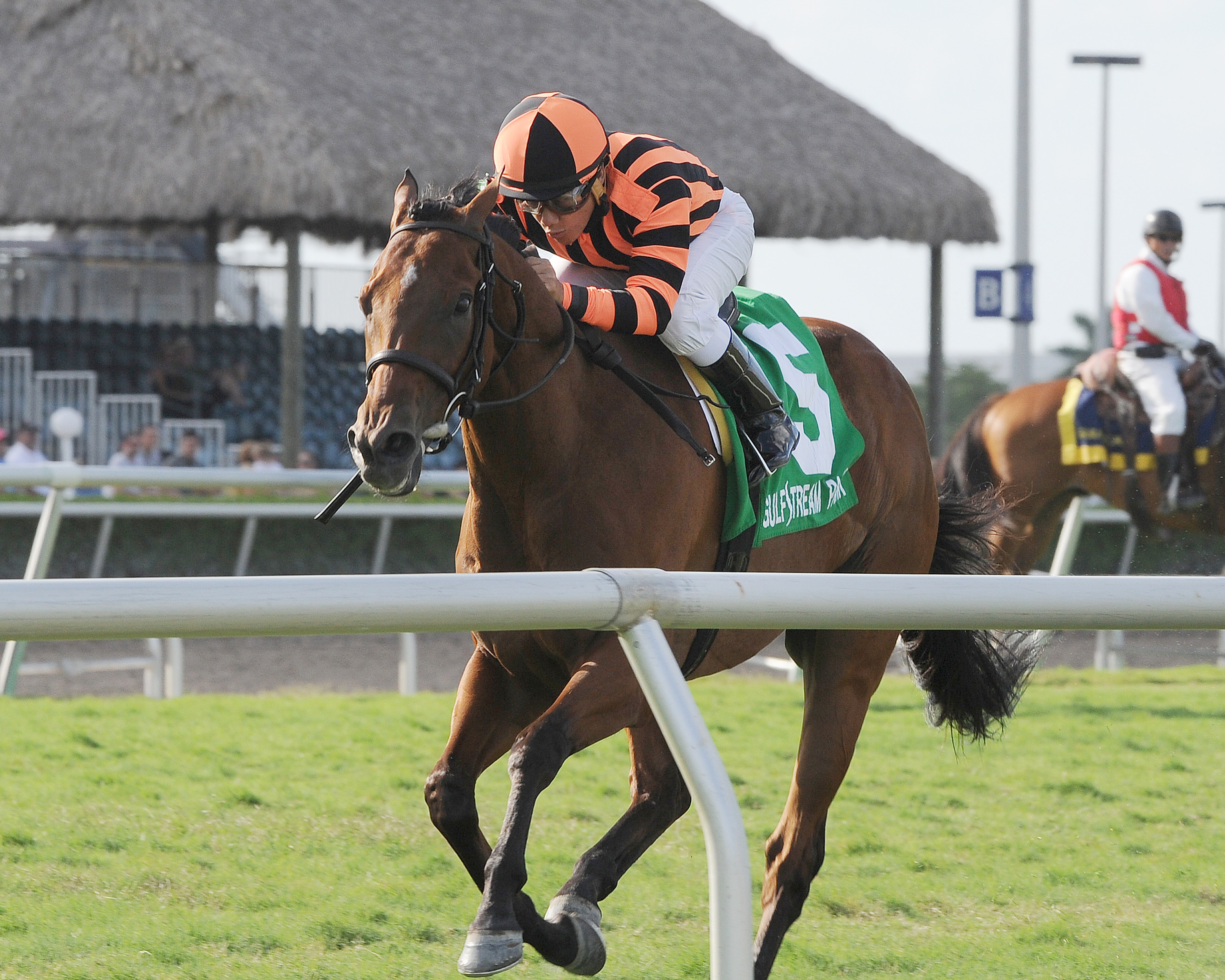 Little Mike wins the 2014 Flying Pidgeon