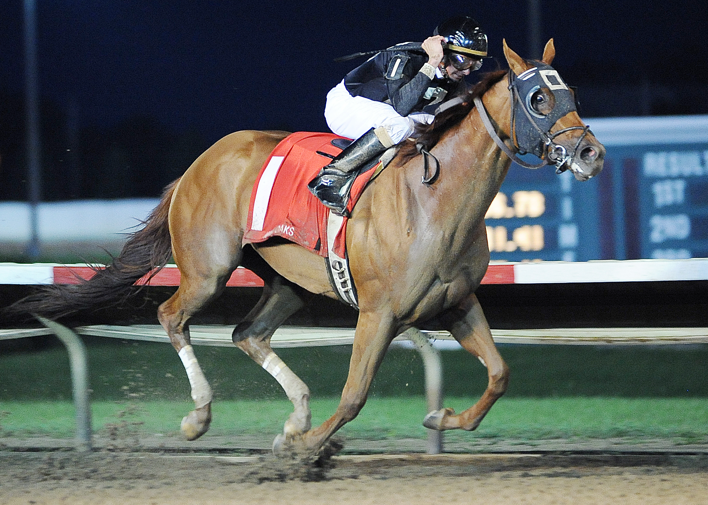 Little Miss Holly/Iowa Oaks