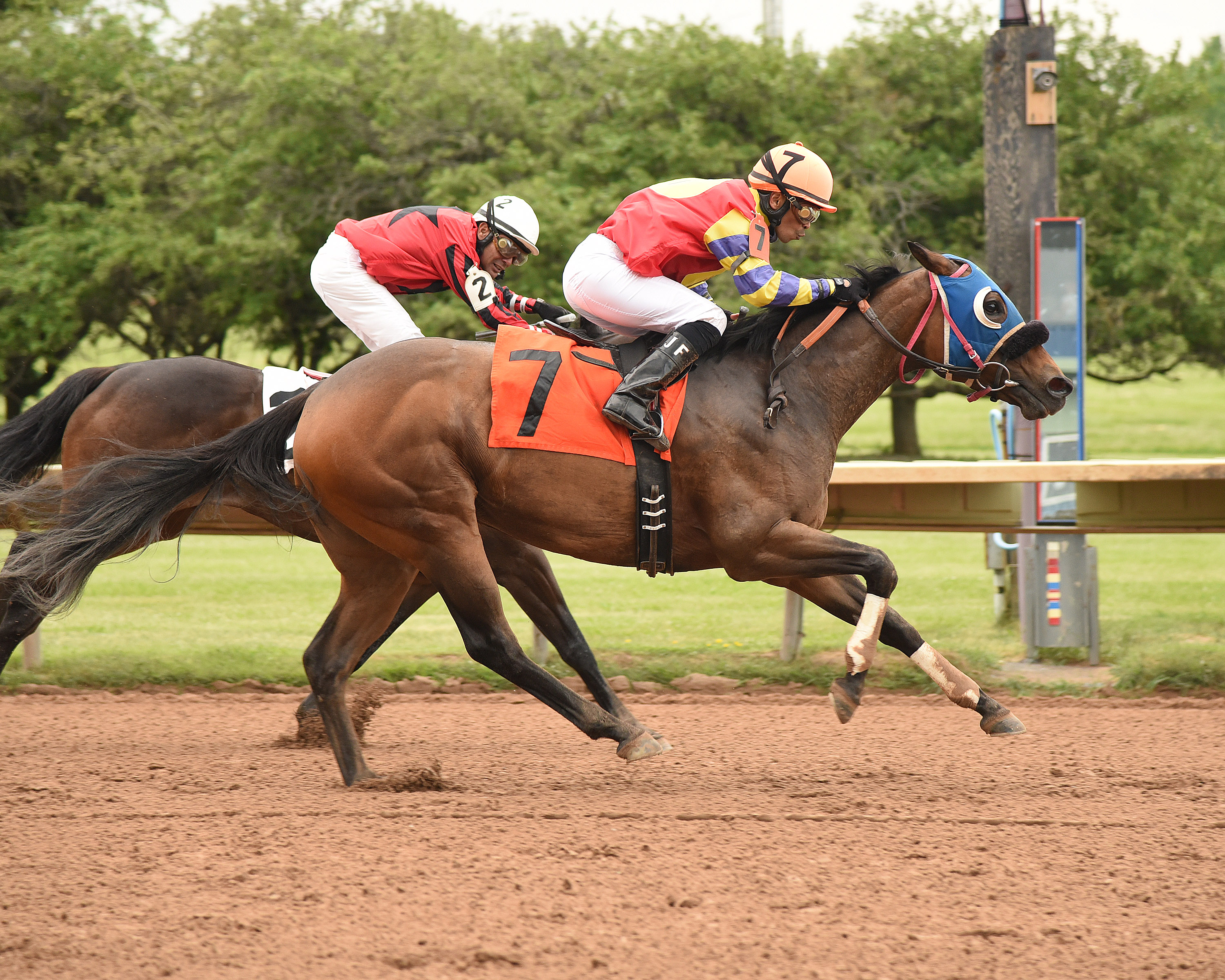 Little Miss Lupe 5-30-2015