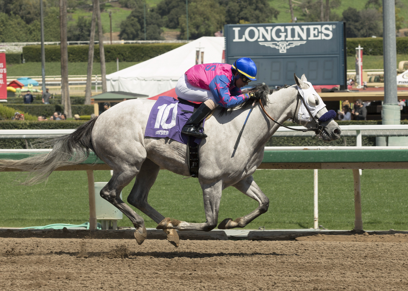 Little Scotty wins a March 24 claiming race