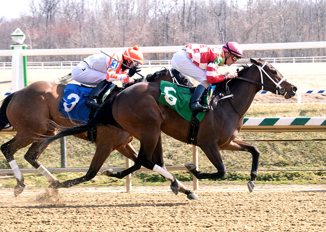 Littlestitious wins the 2021 Beyond the Wire Stakes at Laurel Park