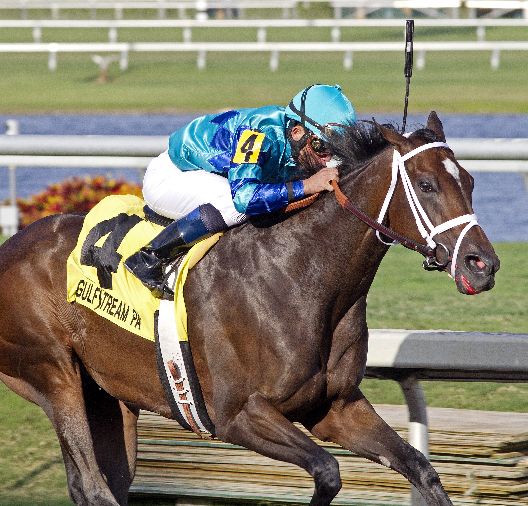 Live Lively, Davona Dale Stakes