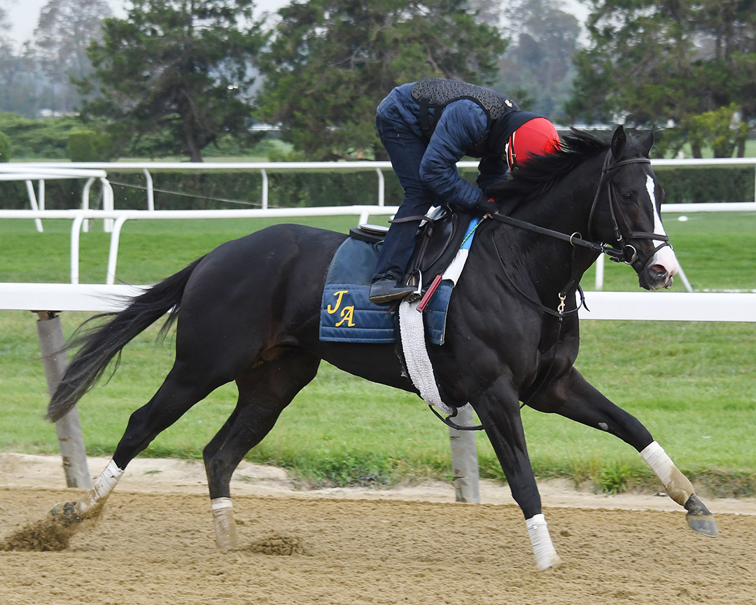 Liveyourbeastlife trains at Belmont Park in September 2020