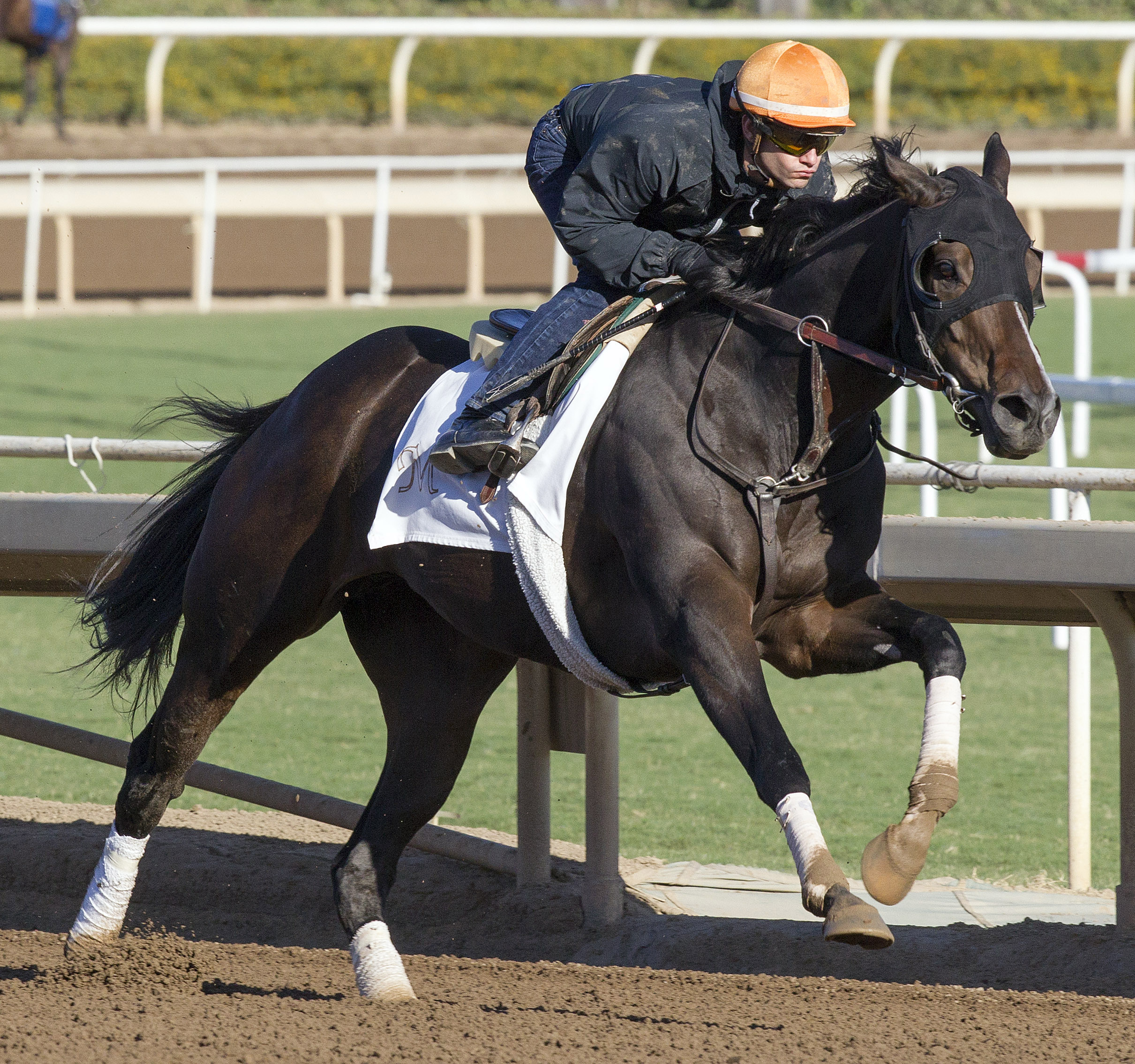 Living the Life trains at Santa Anita on Oct. 22