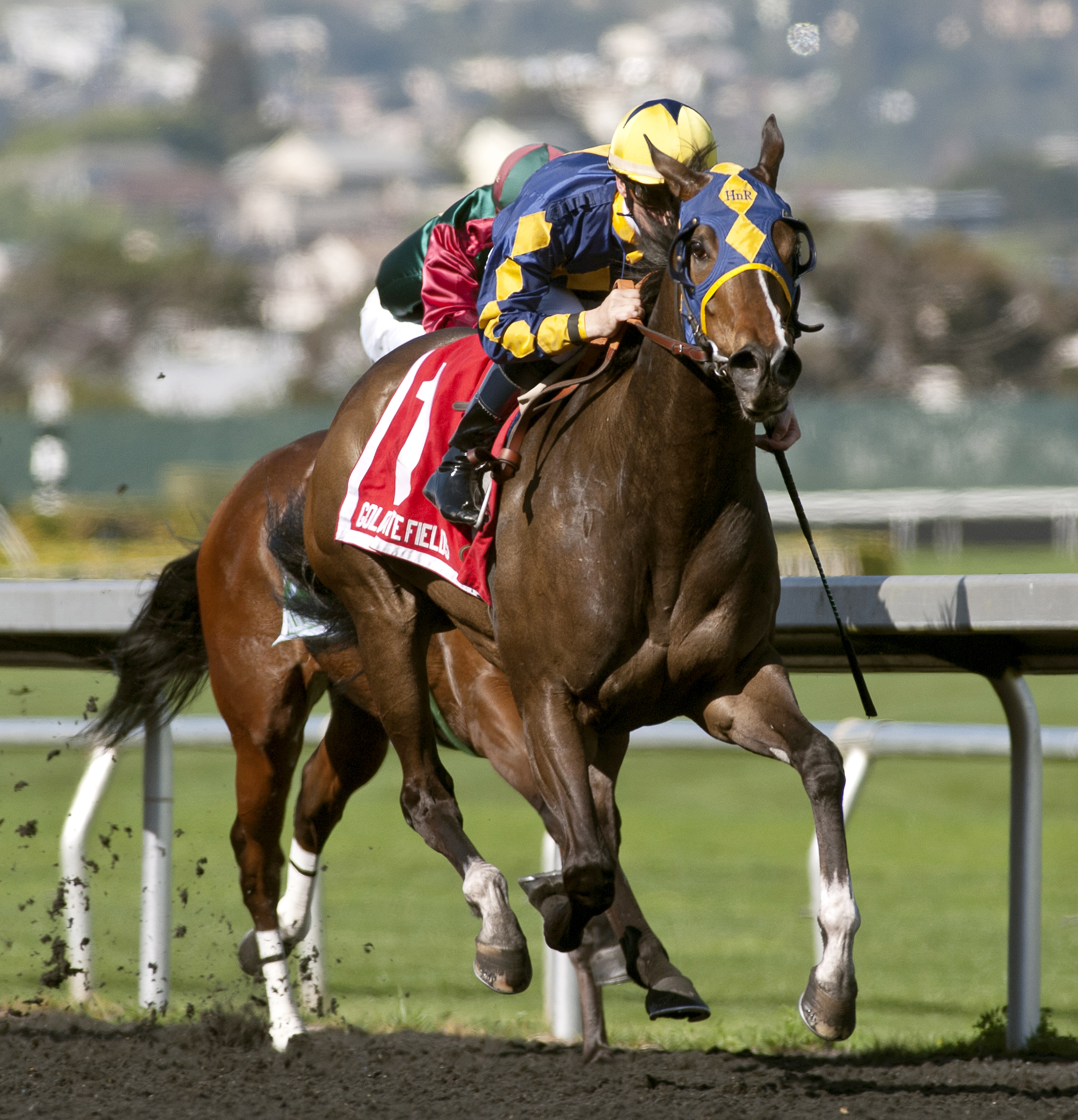 Living the Life wins the 2015 Camilla Urso