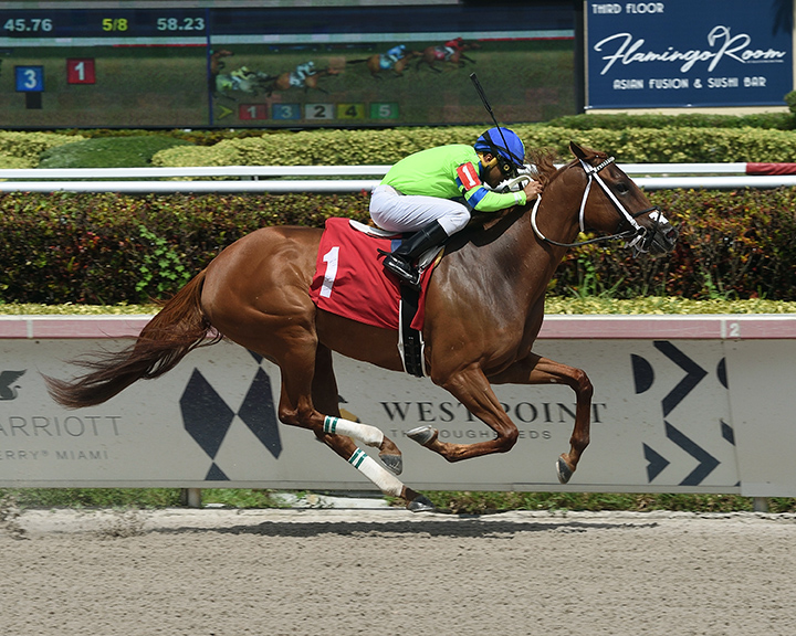 Liza Star wins an Aug. 17 allowance at Gulfstream