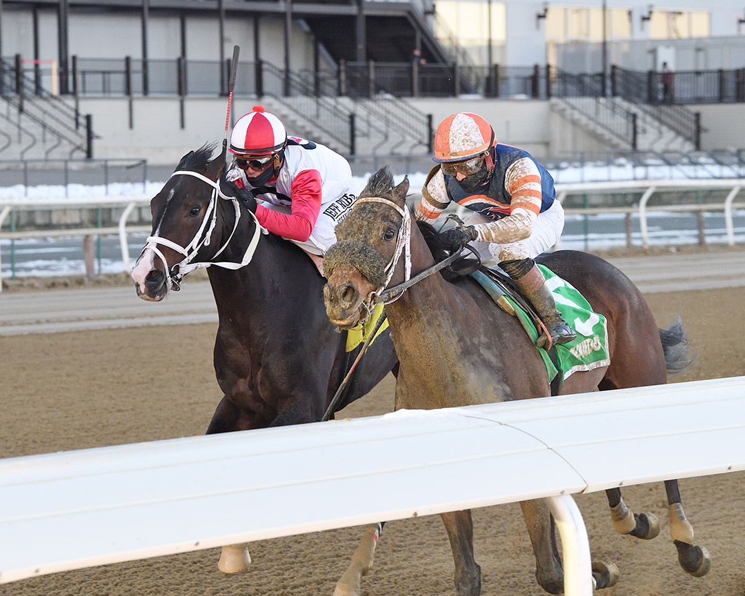 Lobsta (left) and My Boy Tate (right) in the Say Florida Sandy Stakes at Aqueduct