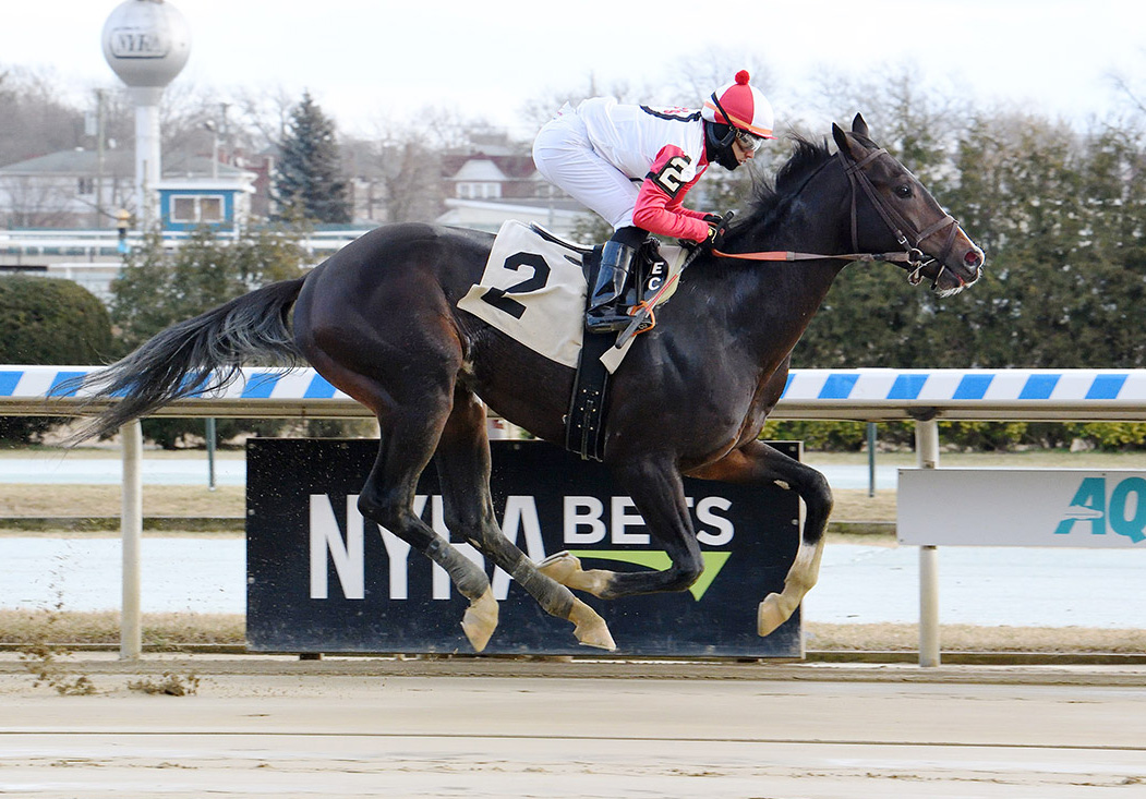 Lobsta wins a Jan. 16 maiden race at Aqueduct