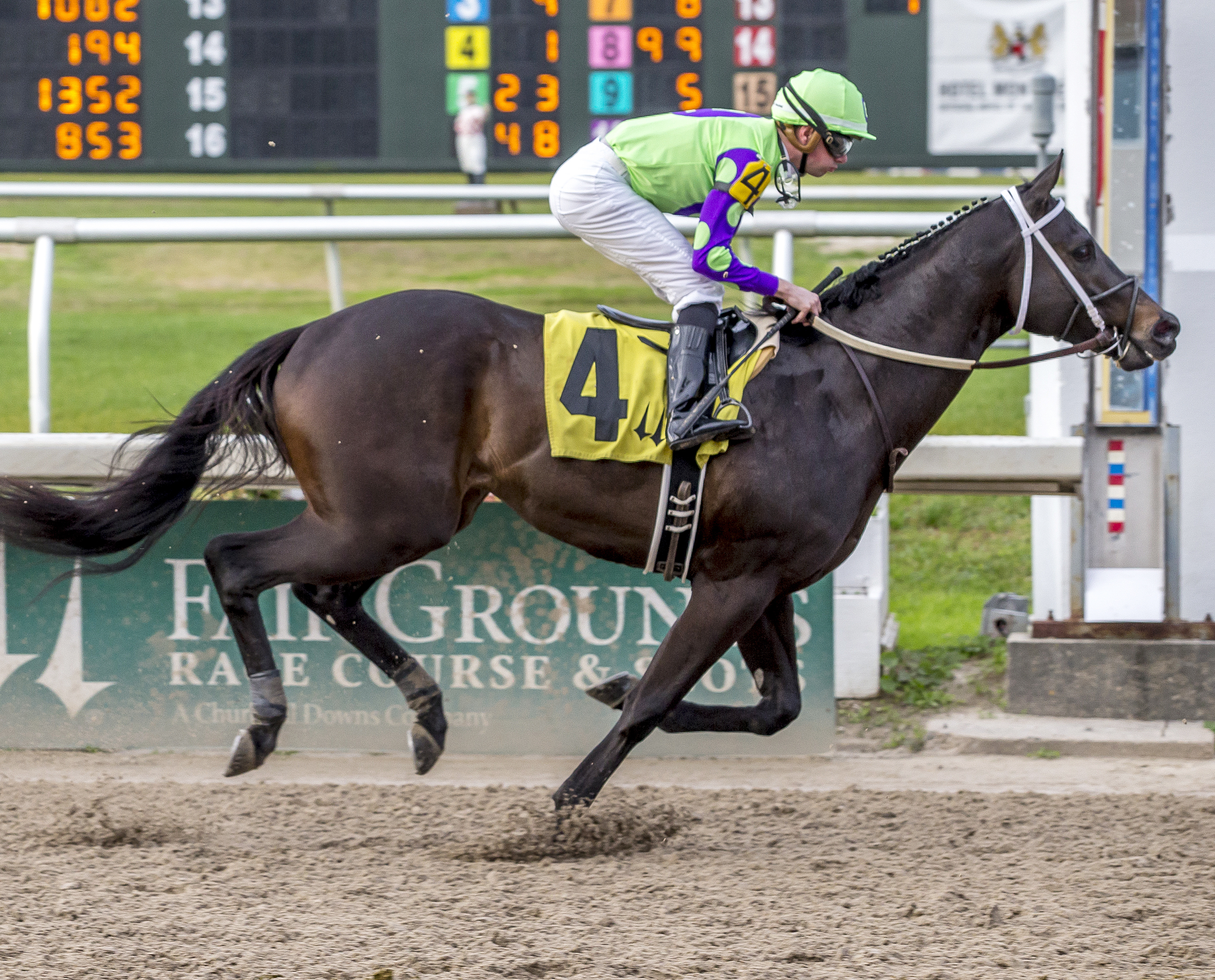 Local Hero wins a maiden race