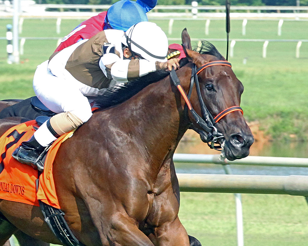 Local Motive wins the 2021 Hickory Tree Stakes at Colonial Downs