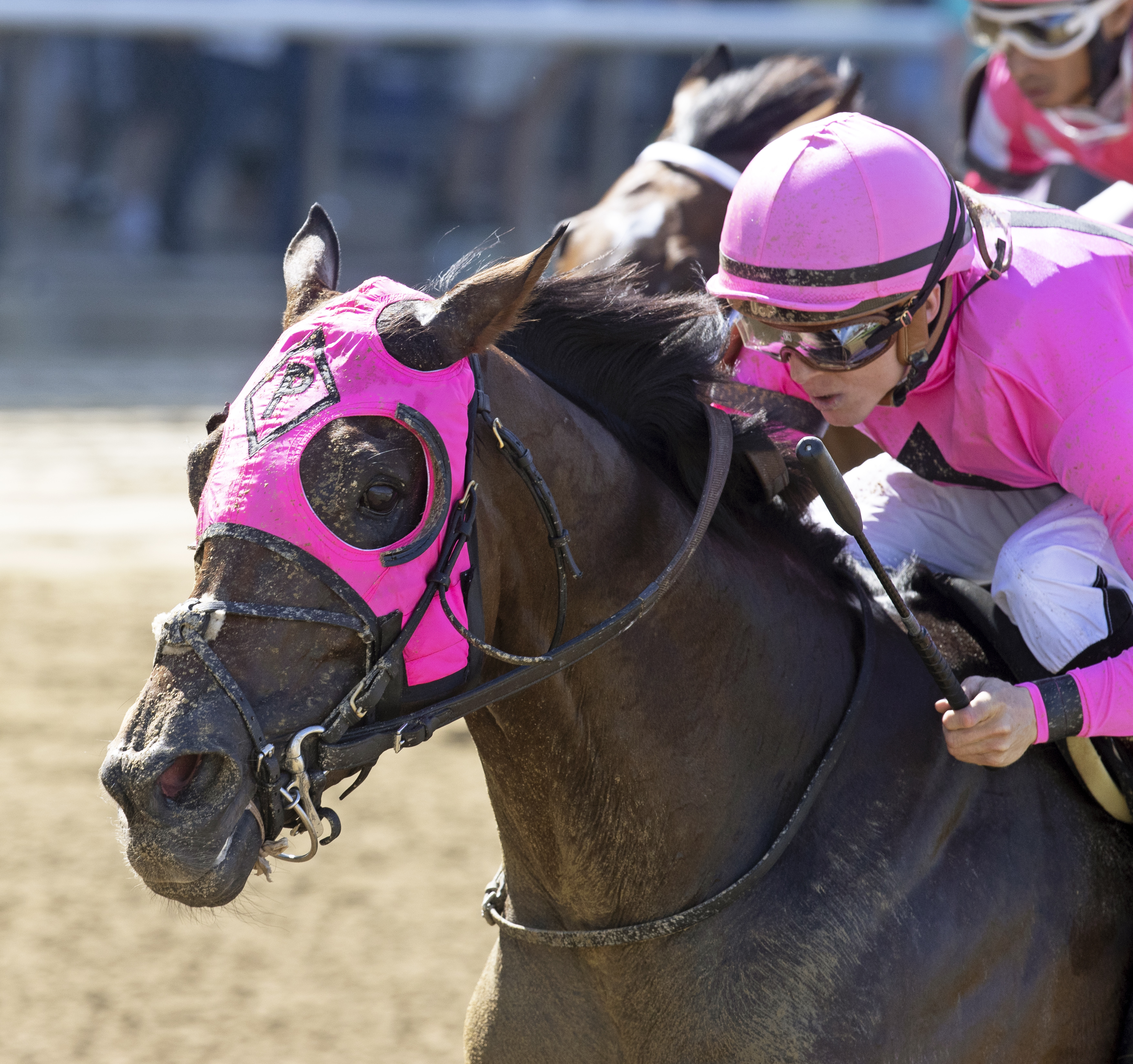 Locally owned wins Grand Prix American Jockey Club Invitational 9-18-2021