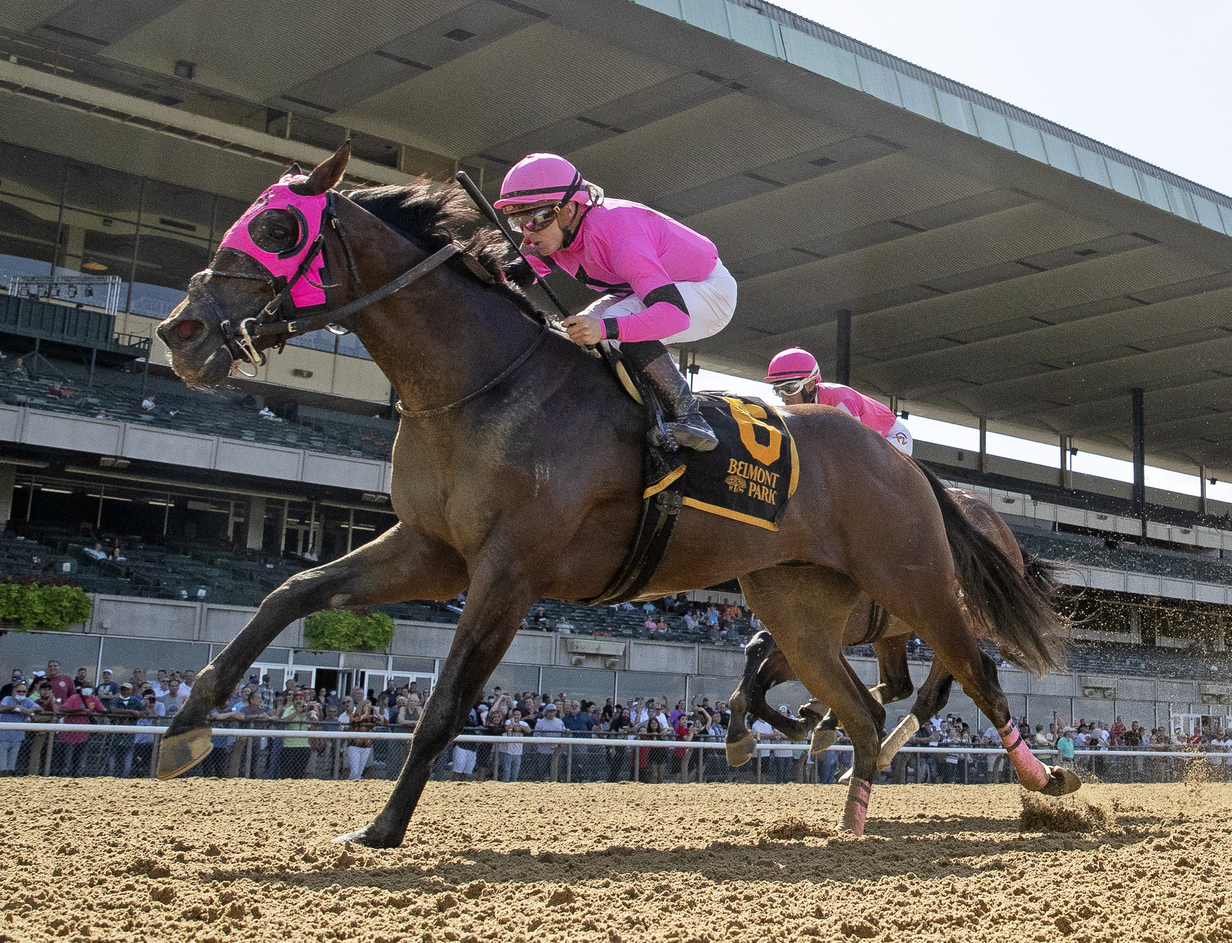 Locally Owned wins Grand Prix American Jockey Club Invitational 9-19-2021